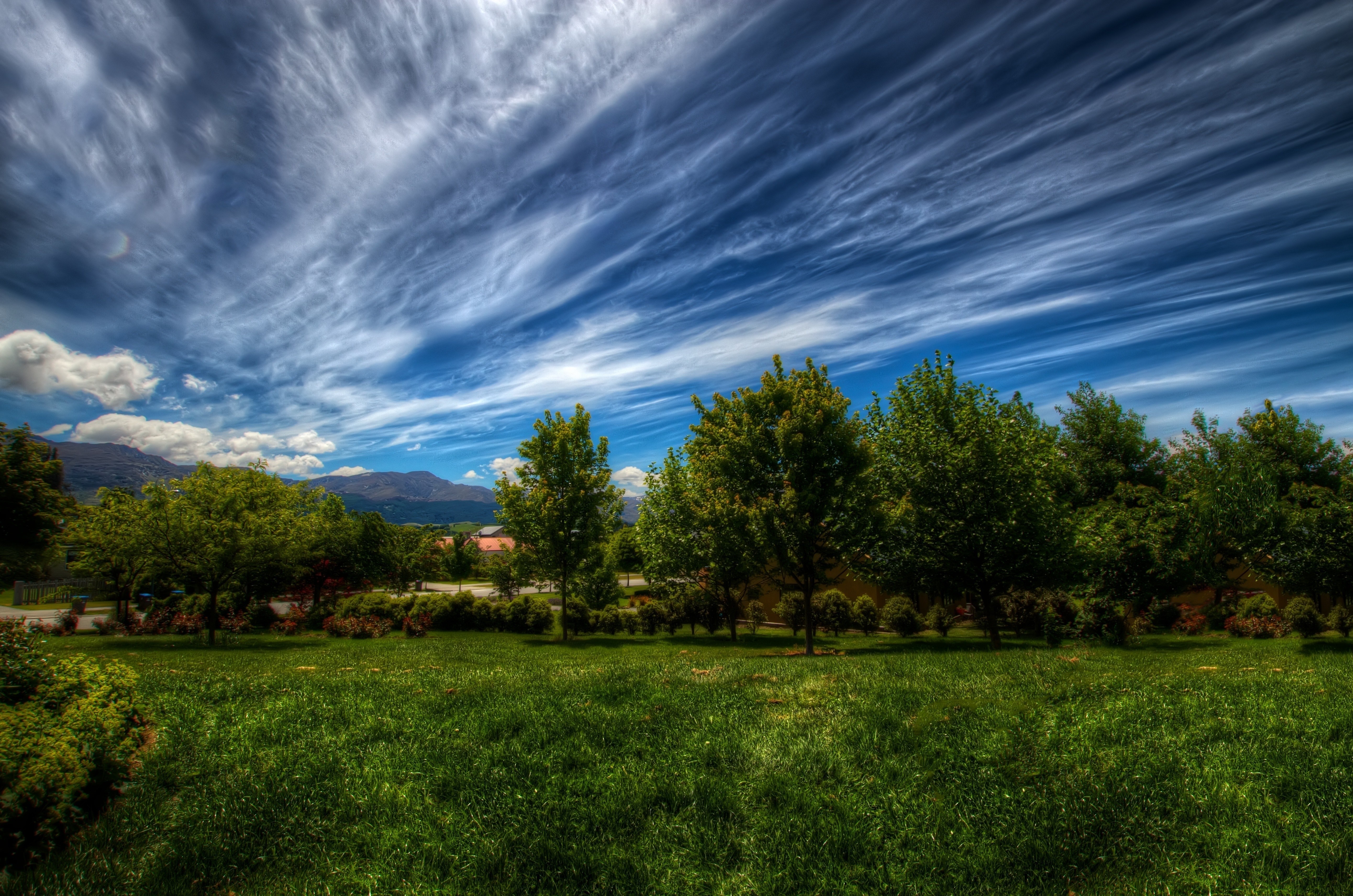 Wallpaper, sky, lines, clouds, trees, grass 5169x3423