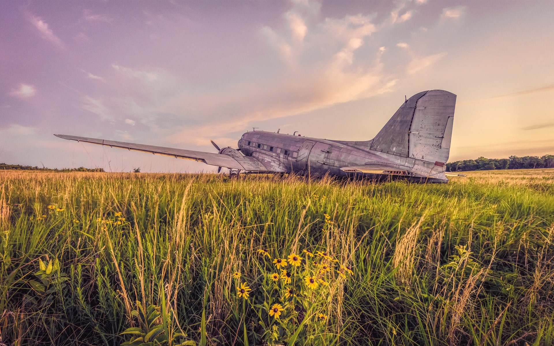 Wallpaper Old plane, grass 1920x1200 HD Picture, Image