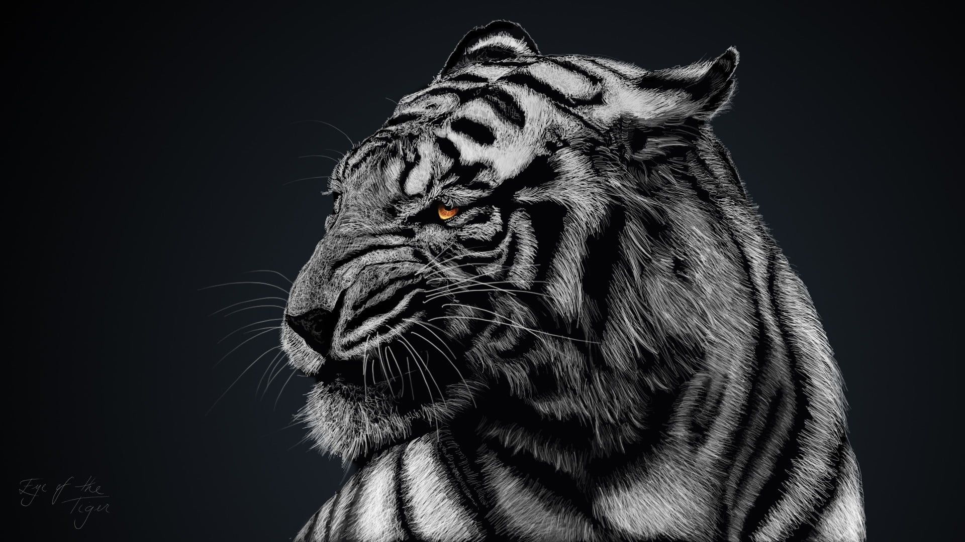 gray and black tiger, greyscale photo of tiger #animals #tiger white tigers #nature P #wallpaper #hdwallpap. Tiger artwork, Tiger wallpaper, Tiger wallpaper