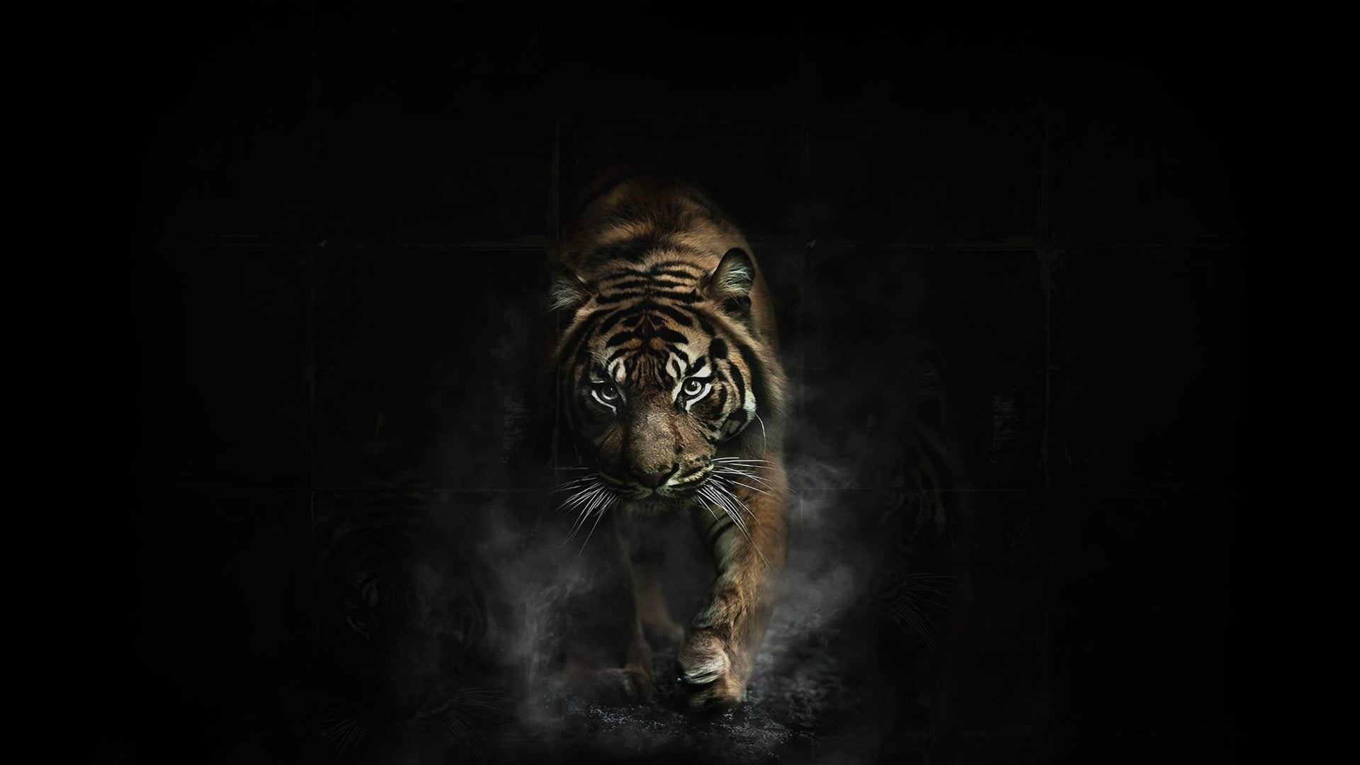 Adult brown tiger, animals, dark, artwork, animal themes, one animal wallpaper • Wallpaper For You HD Wallpaper For Desktop & Mobile