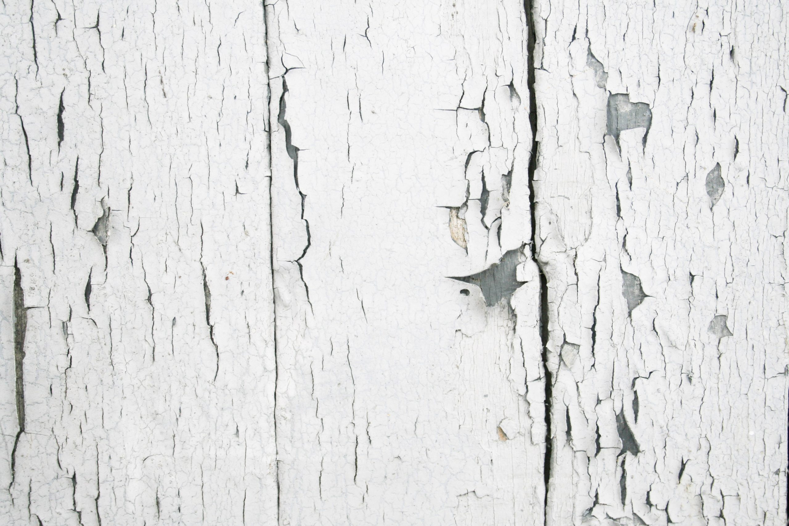 White Wood Floor Textures Textures.World