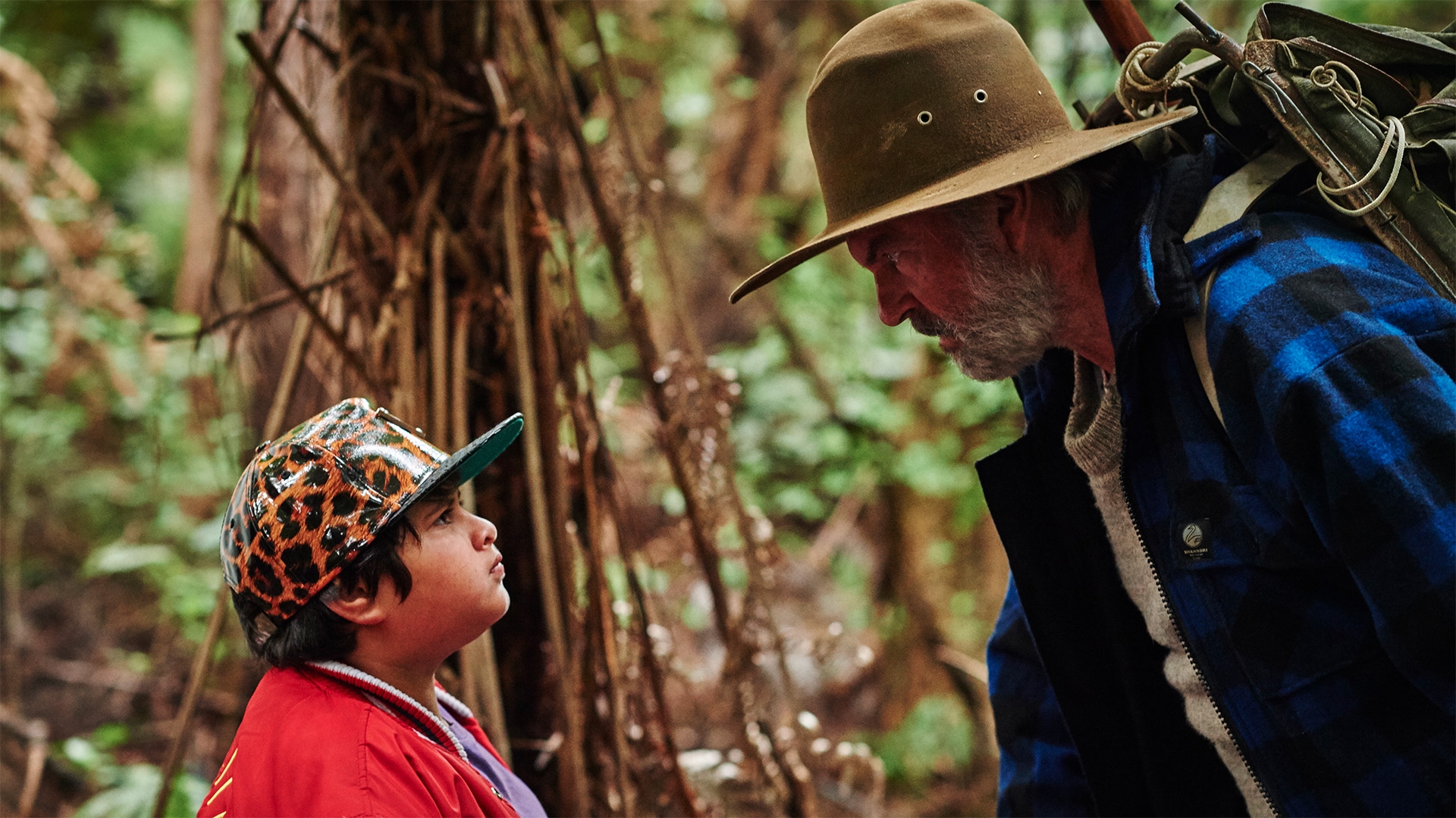 Hunt for the Wilderpeople (Waititi, 2016)