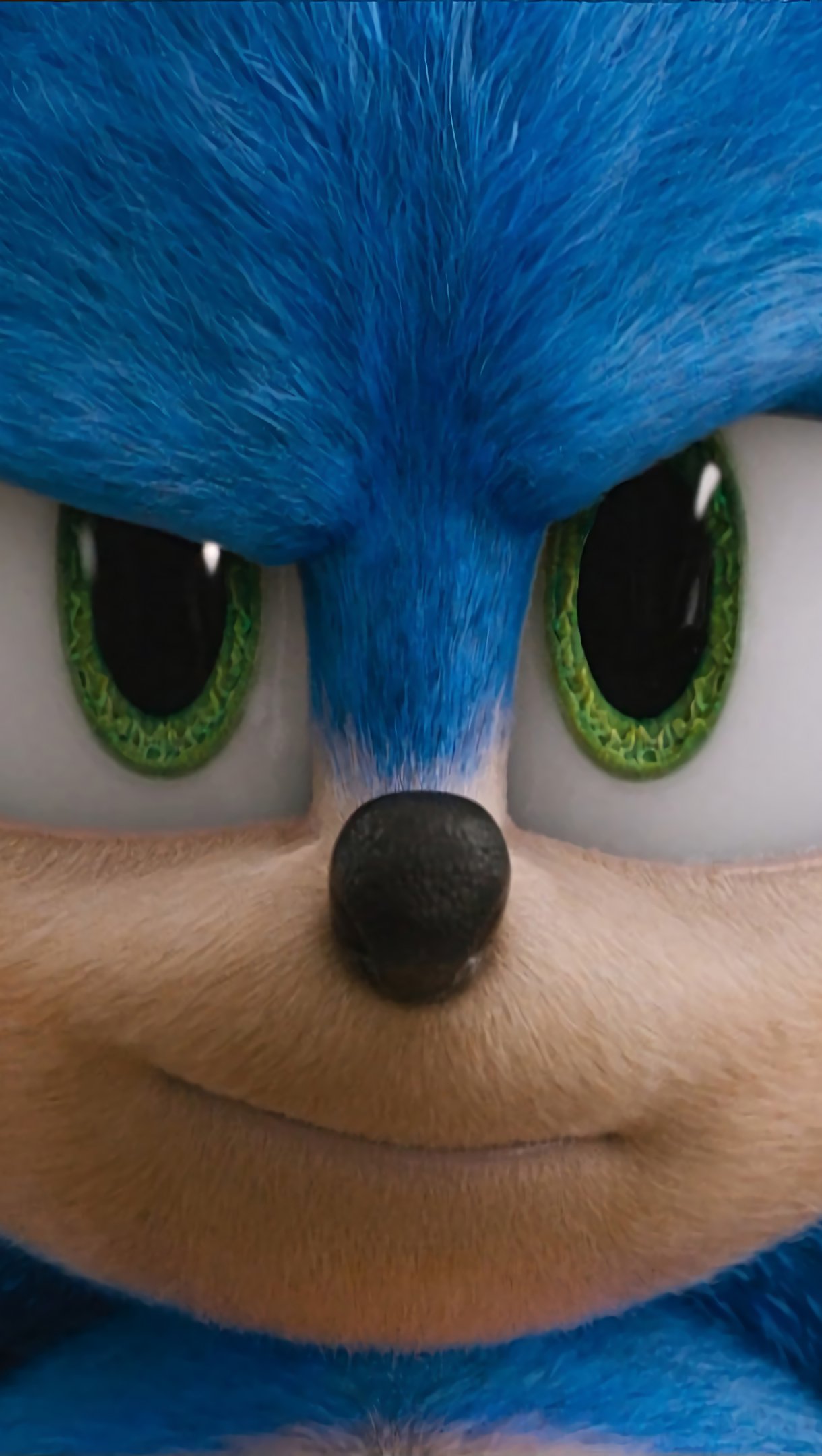 Sonic the Hedgehog Movie Wallpaper 4k Ultra HD
