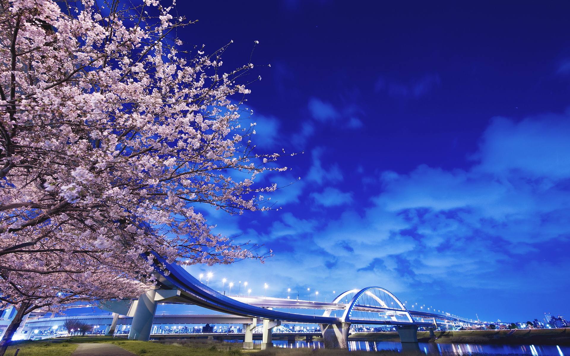 Cherry blossoms, Japan Desktop Wallpaper FREE on Latoro.com