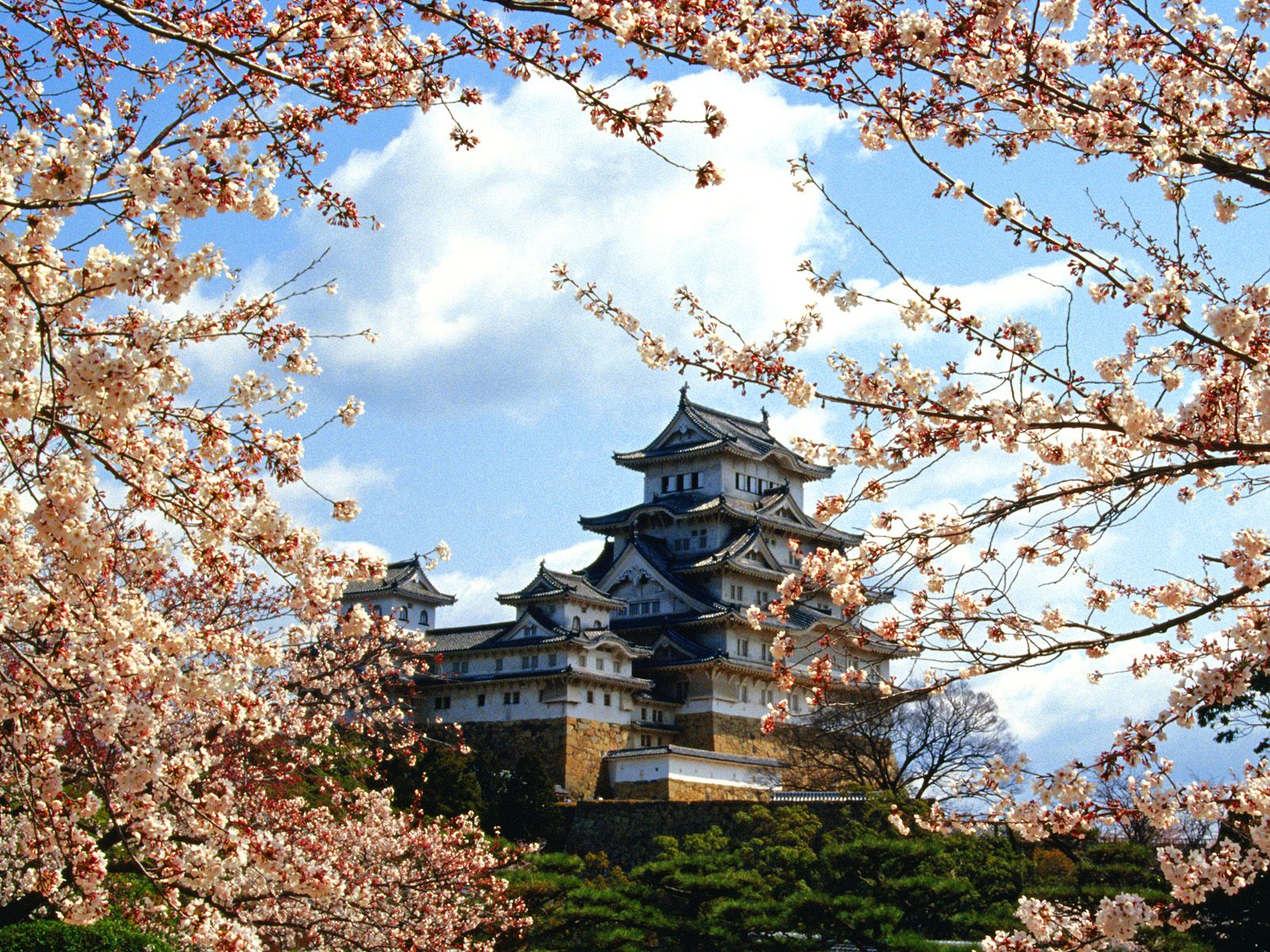 Himeji Jo Castle, Himeji, Kinki, Japan Desktop Wallpaper 1440x900