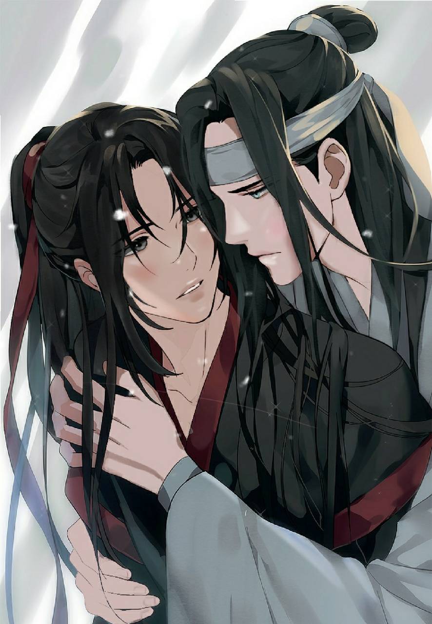 HD desktop wallpaper: Anime, Lan Zhan, Wei Ying, Lan Wangji, Wei Wuxian, Mo  Dao Zu Shi download free picture #1012411