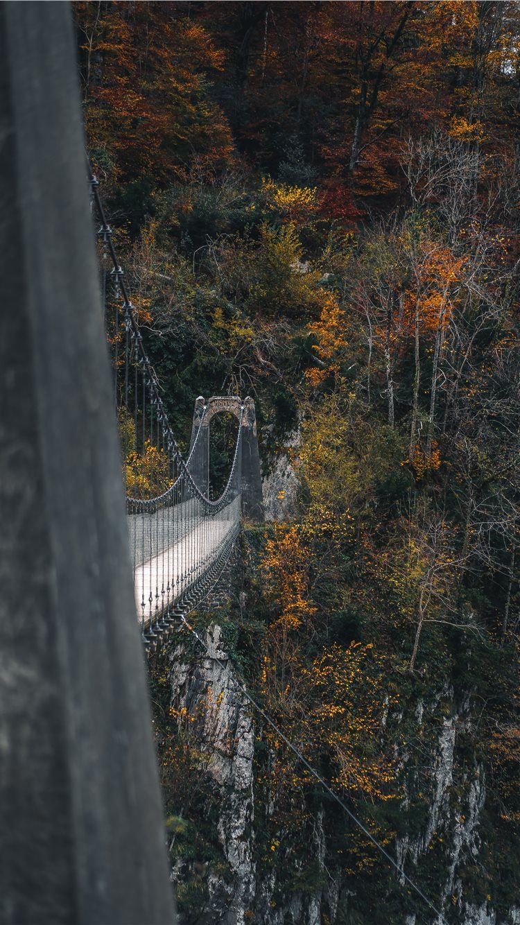bridge near trees during daytime iPhone 8 Wallpaper Free Download