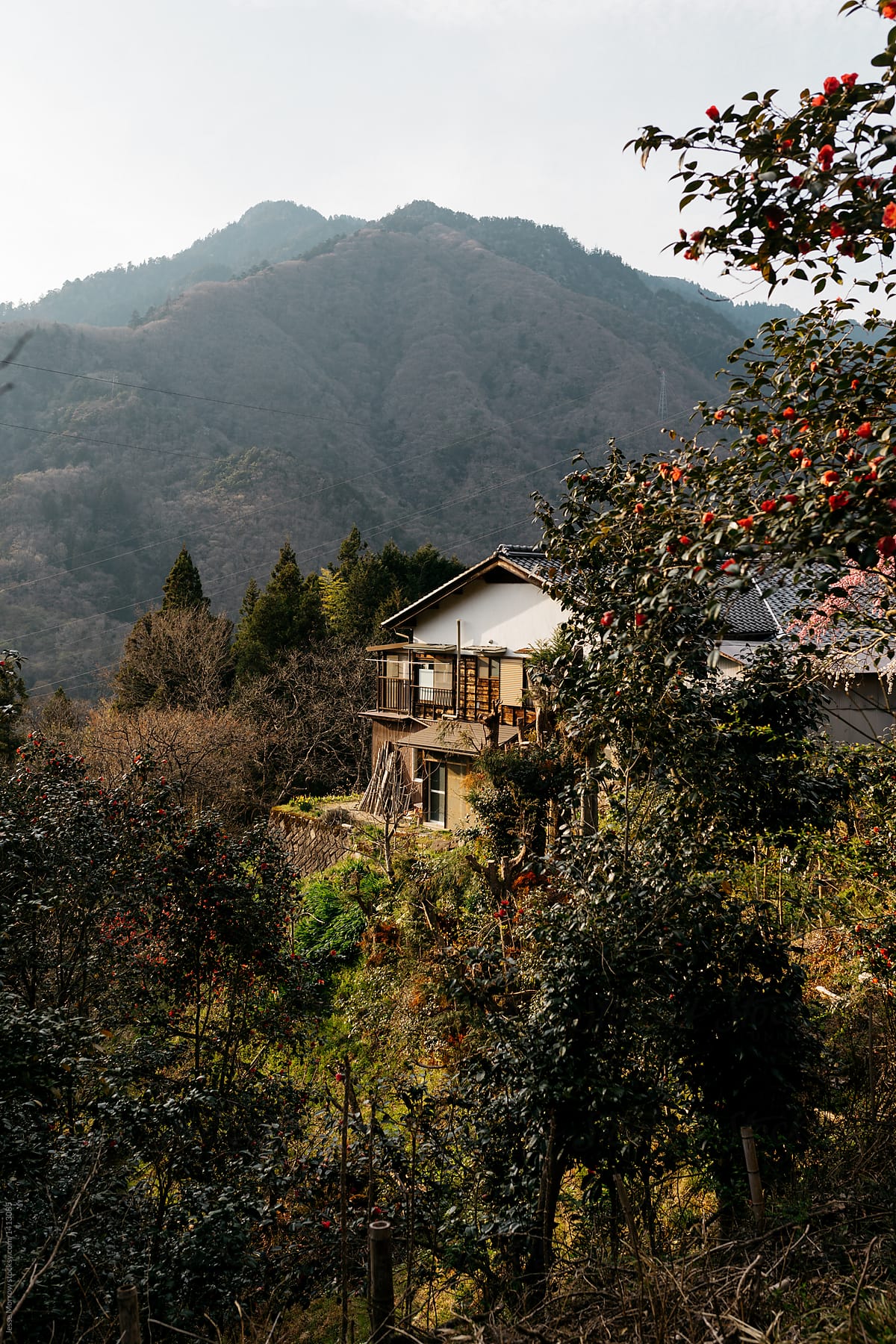 View Of Small Traditional Home In Japanese Village Country Side Remote Beautiful Location