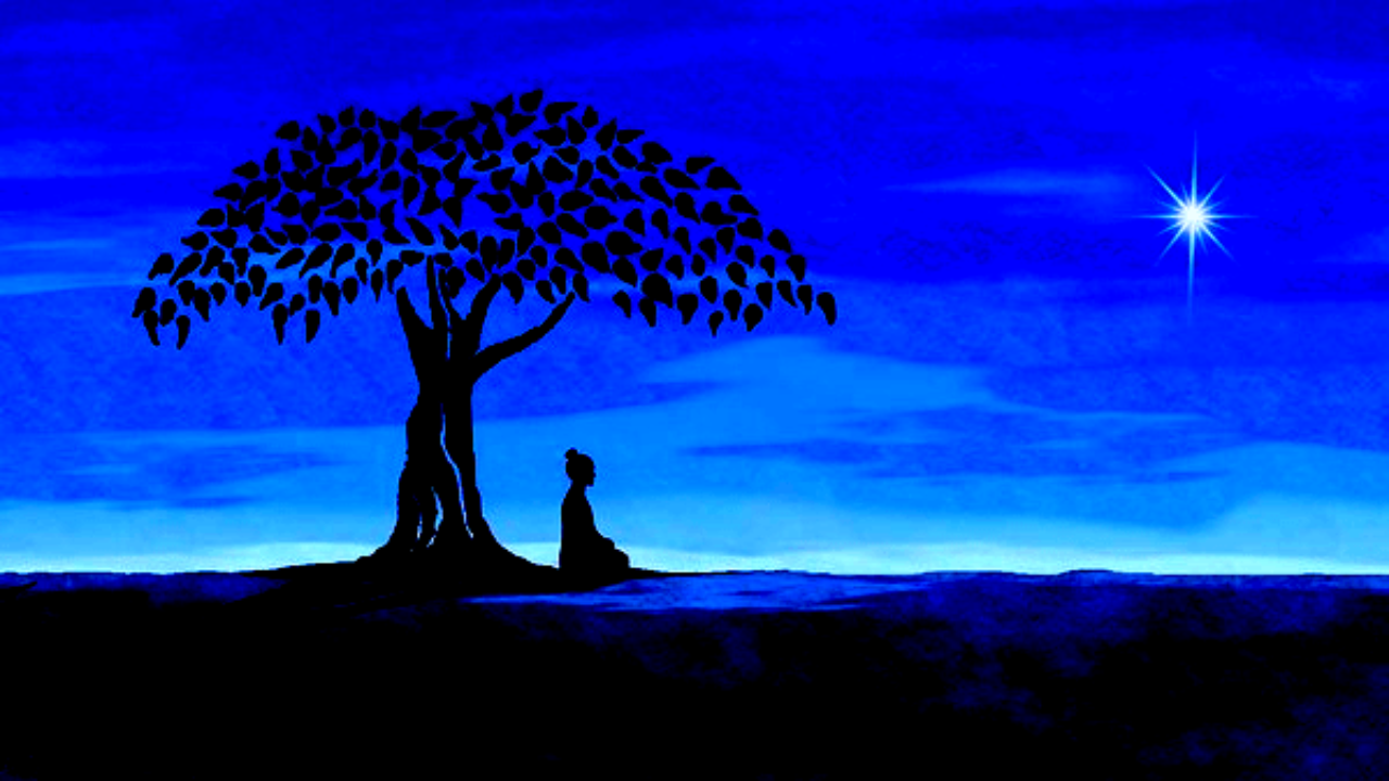 Bodhi Tree Wallpaper HD Wallpaper