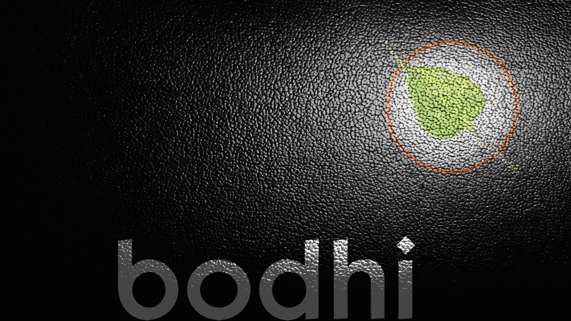 text, Linux, textures, Bodhi Linux Wallpaper / WallpaperJam.com