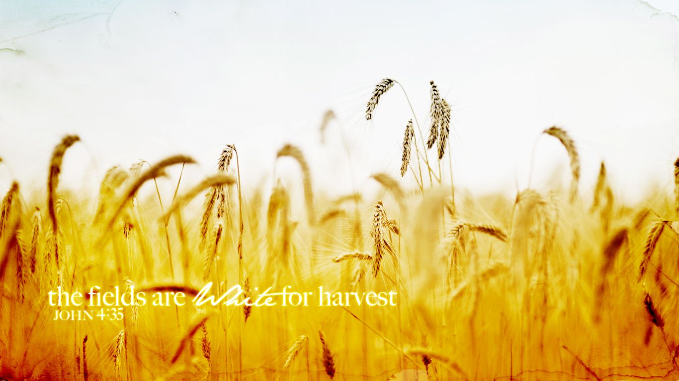 Free Desktop Wallpaper Calendars: June 2012