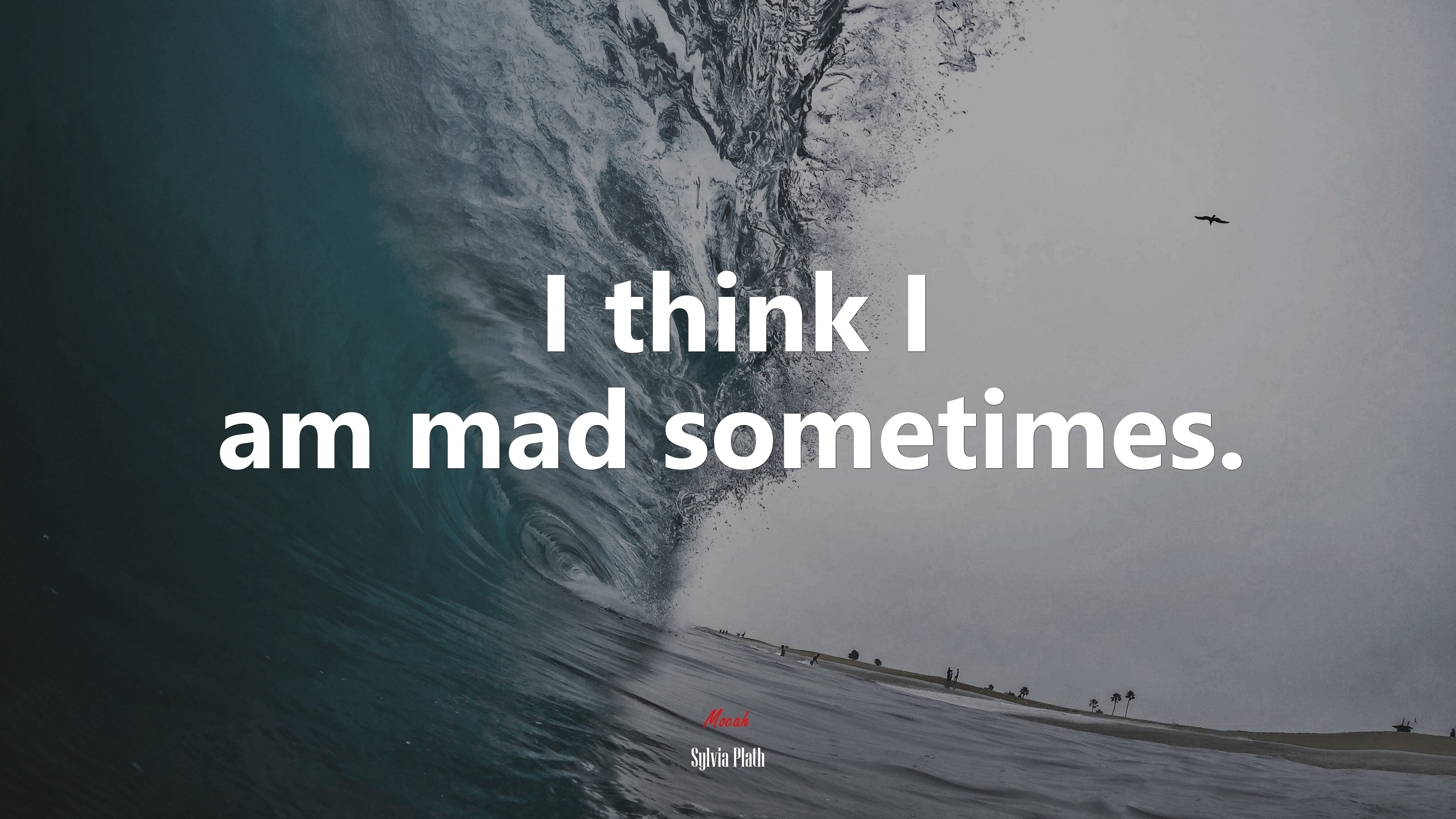 I think I am mad sometimes. Sylvia Plath quote, 4k wallpaper. Mocah HD Wallpaper