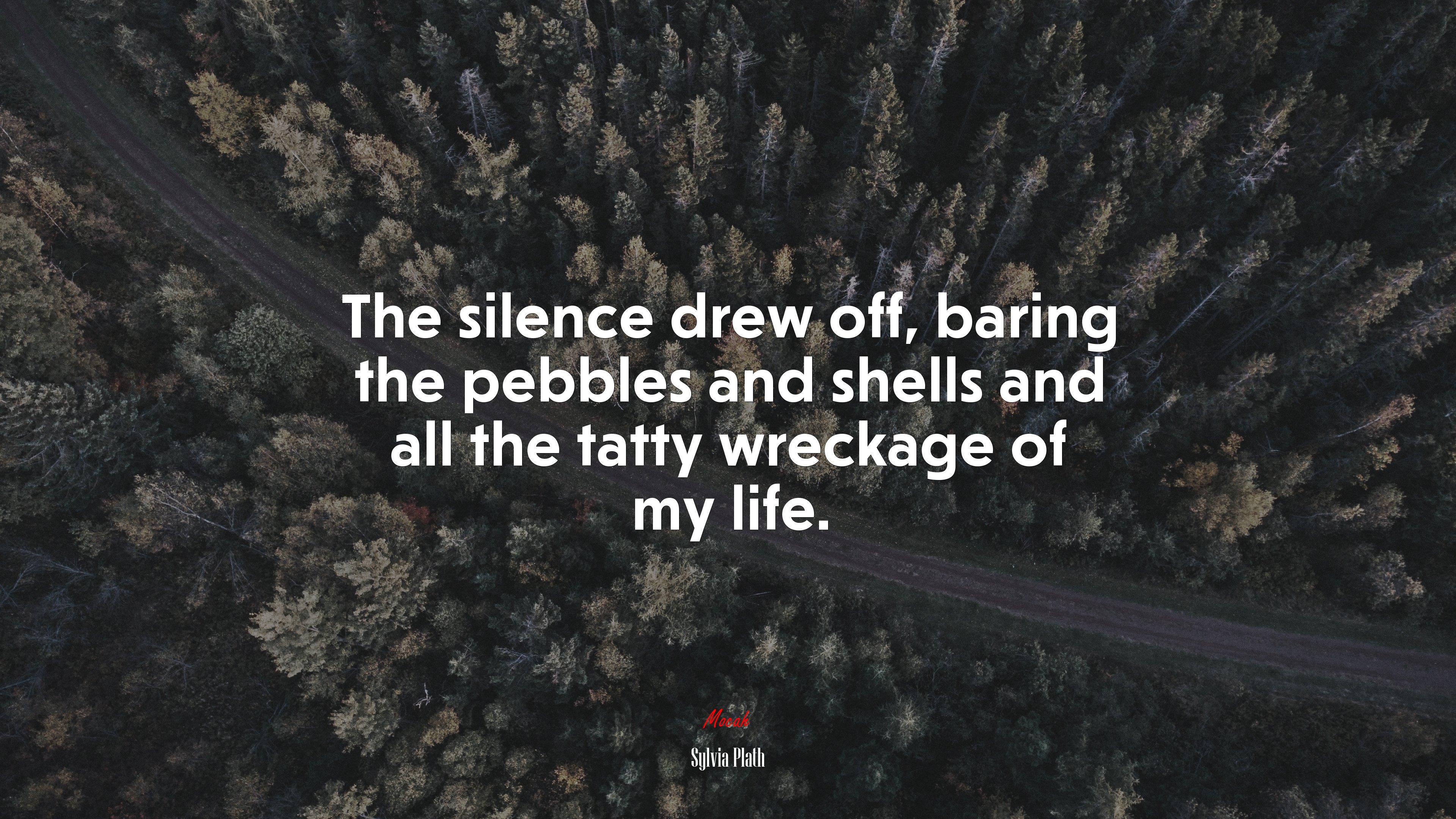 The silence drew off, baring the pebbles and shells and all the tatty wreckage of my life. Sylvia Plath quote, 4k wallpaper. Mocah HD Wallpaper