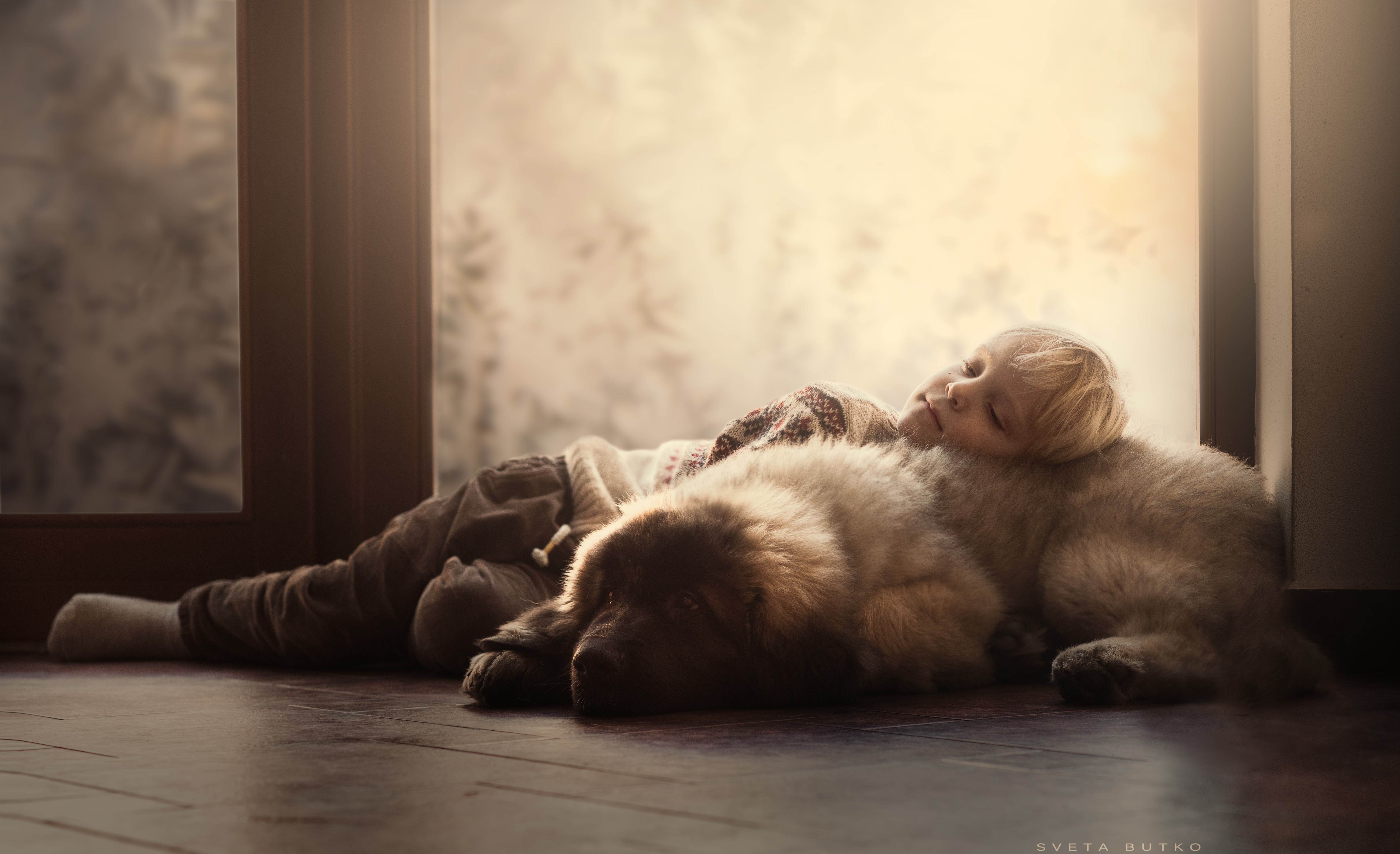 Wallpaper, blondhair, boy, calm, child, childhood, children, cosy, cute, dawn, dog, dogs, dreaming, dusk, eyesclosed, floor, furry, indoors, Inside, laying, little, lyingdown, oneperson, patterned, peaceful, pet, relaxing, resting, room, serene, sleeping