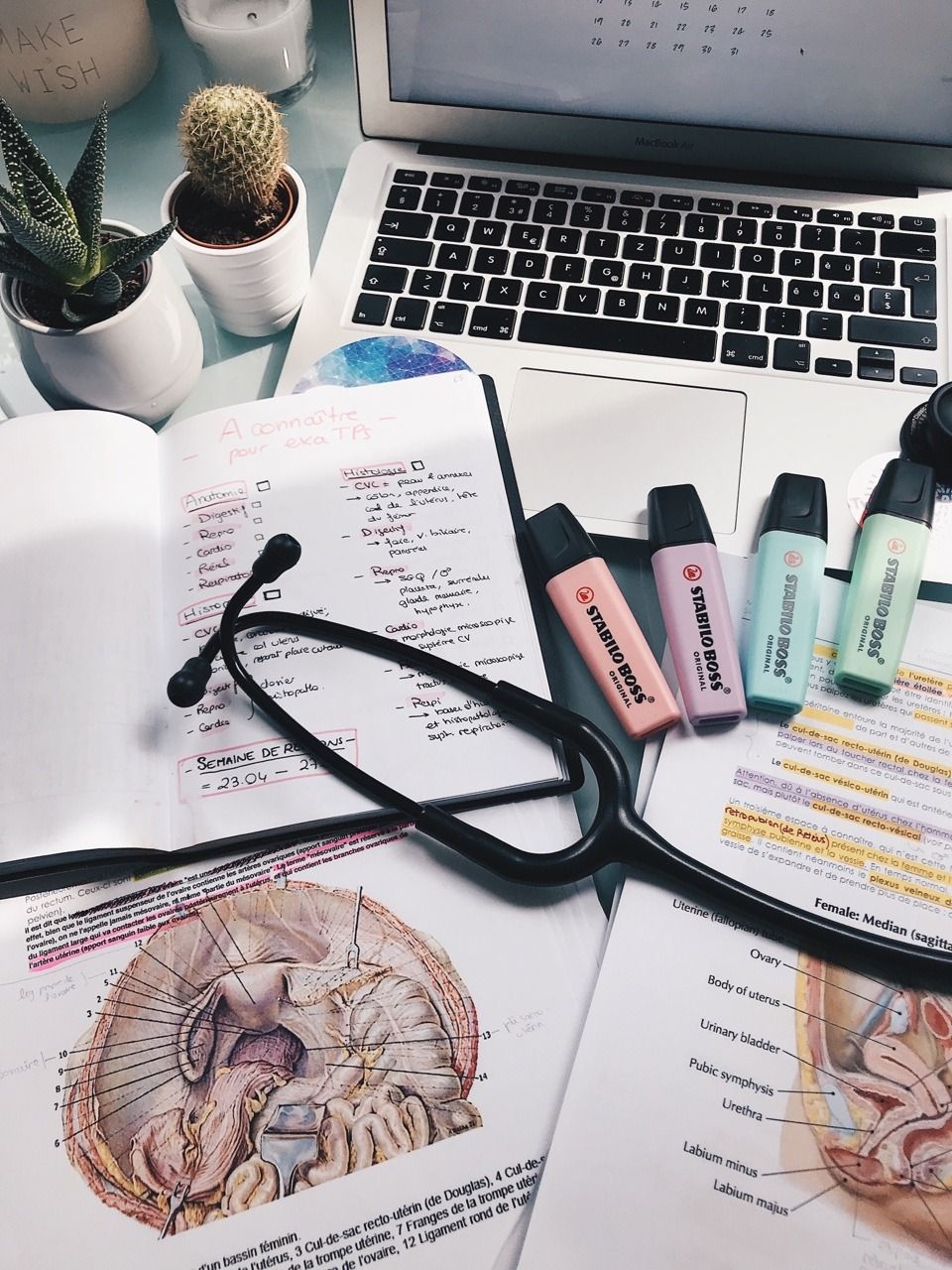 Never give up ideas. medical school