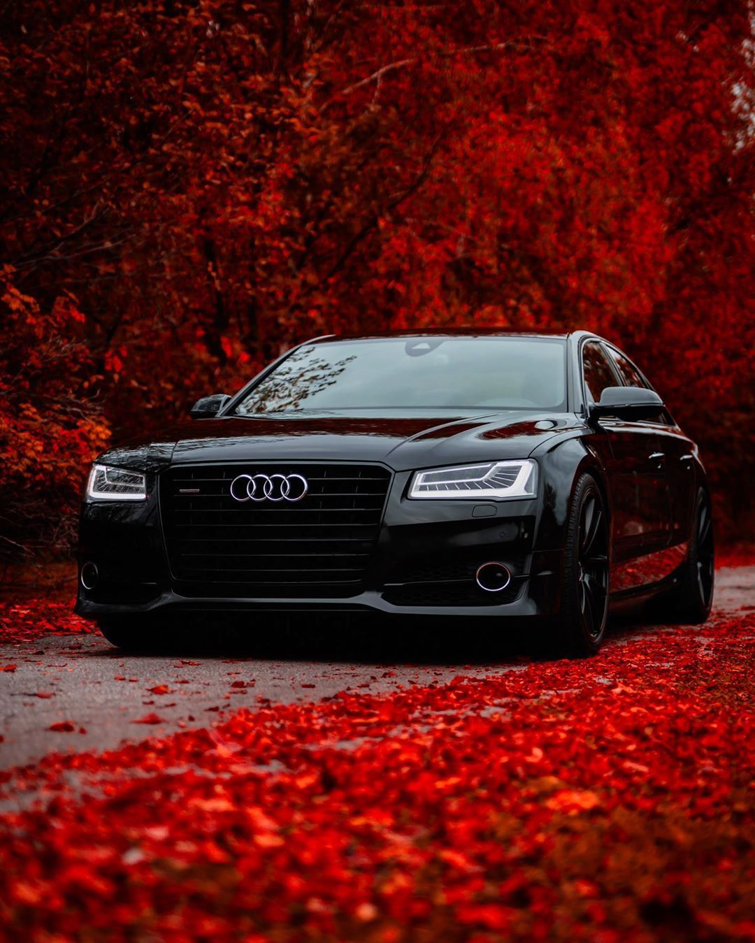 Audi A8 4H D4 4.2 V8 BiTDI on Instagram: “Happy Valentine