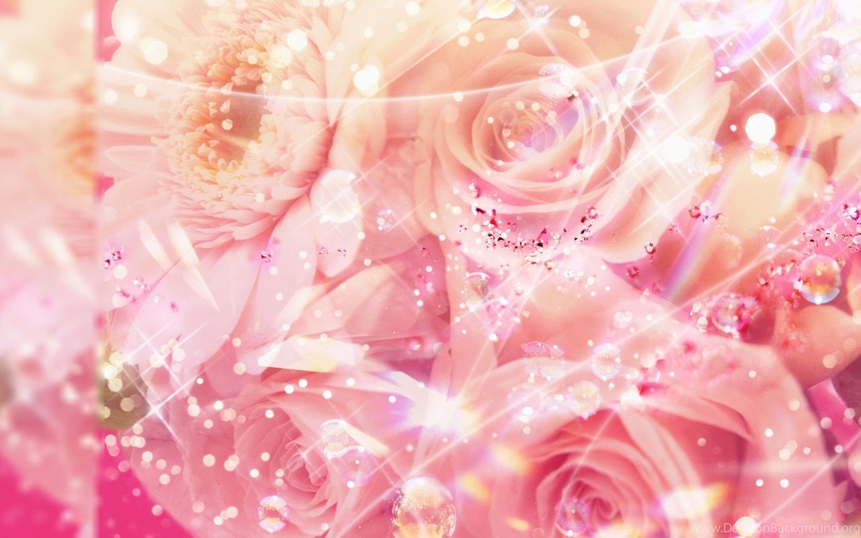 Rose Computer Wallpaper, Desktop Background Desktop Background