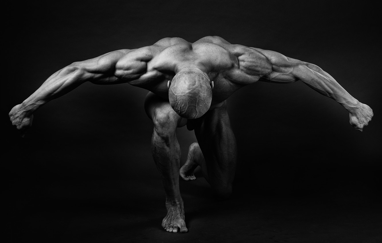 Wallpaper muscles, pose, back, arms, bodybuilder image for desktop, section спорт