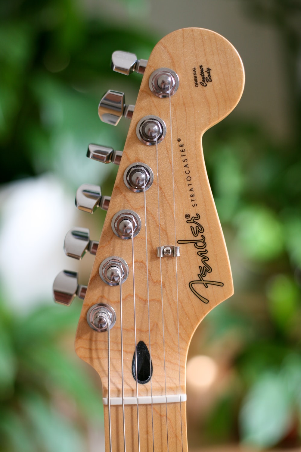 Bass Guitar Picture [HD]. Download Free Image