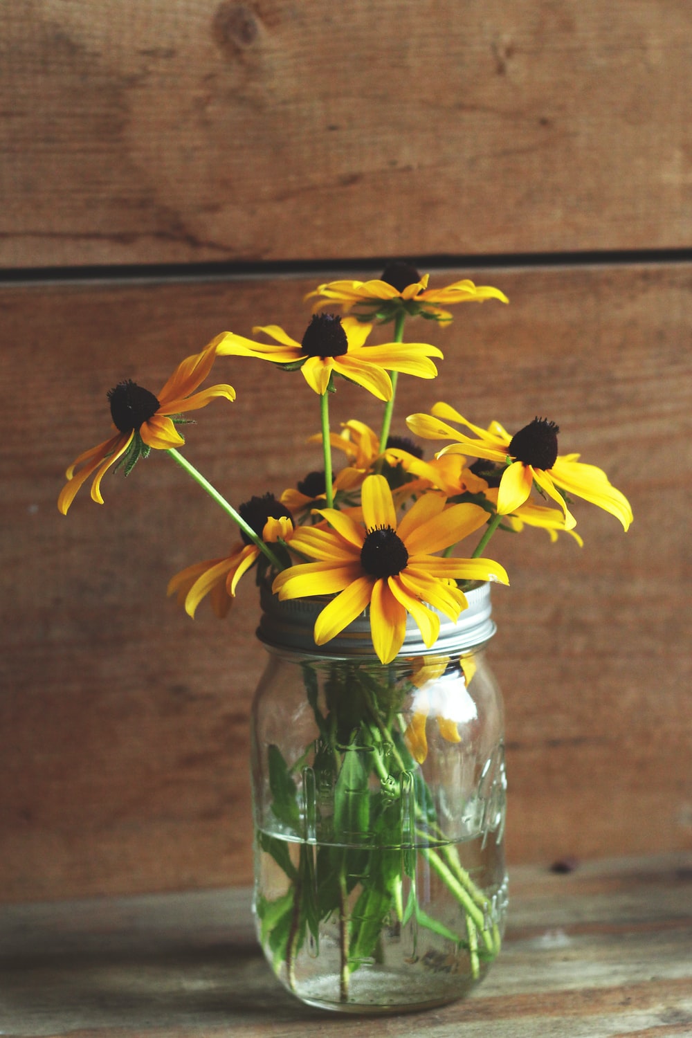 Mason Jars Picture. Download Free Image