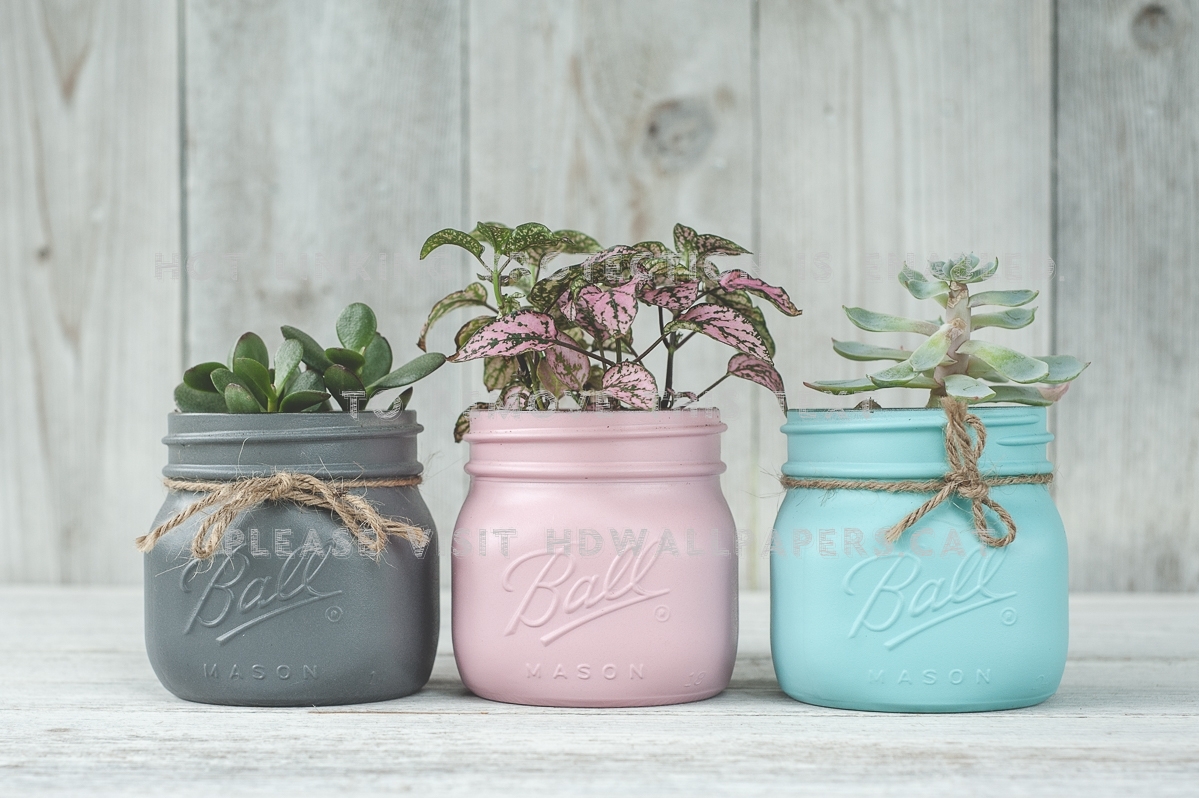 painted mason jars* flowers small crafting