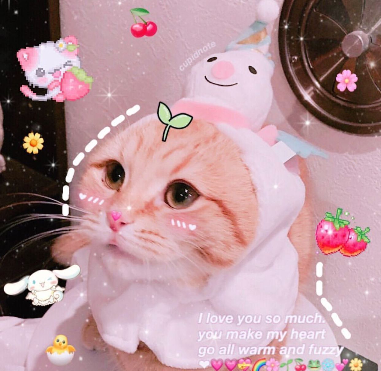 Aesthetic cat PFP