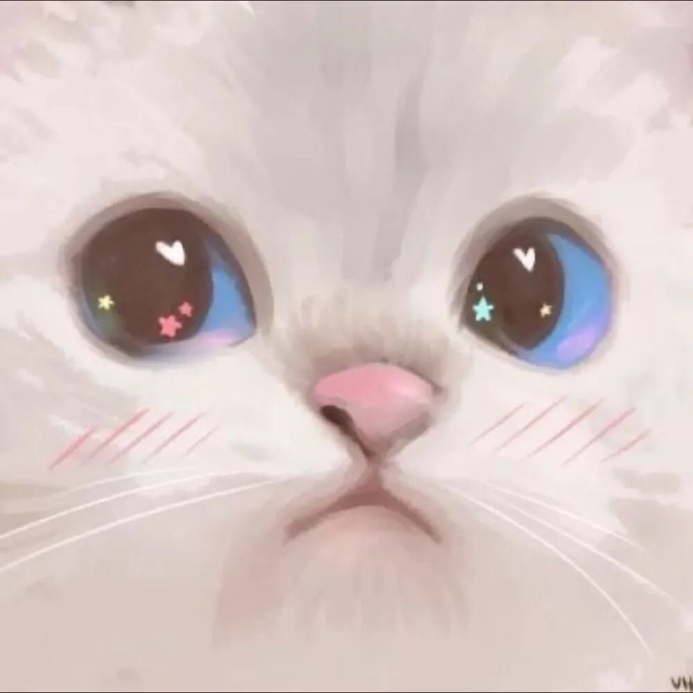 Download Cute Anime Girl PFP Hakui Koyori Cat Outfit Wallpaper   Wallpaperscom