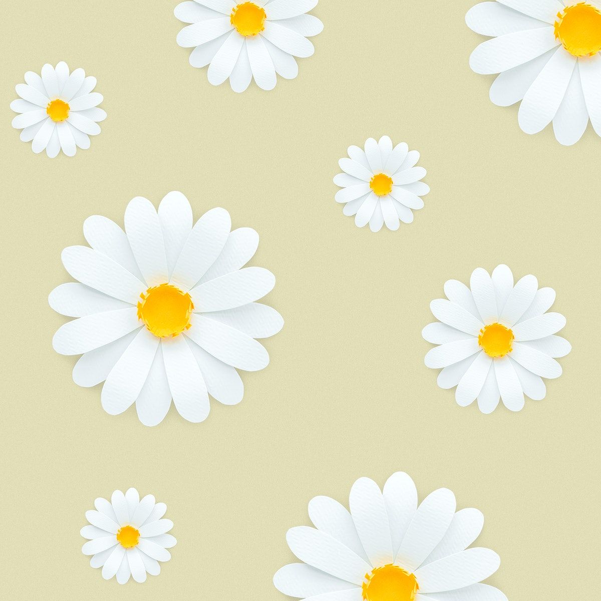 Download premium image of White daisy pattern on pale yellow background. Yellow background, Daisy wallpaper, Daisy painting