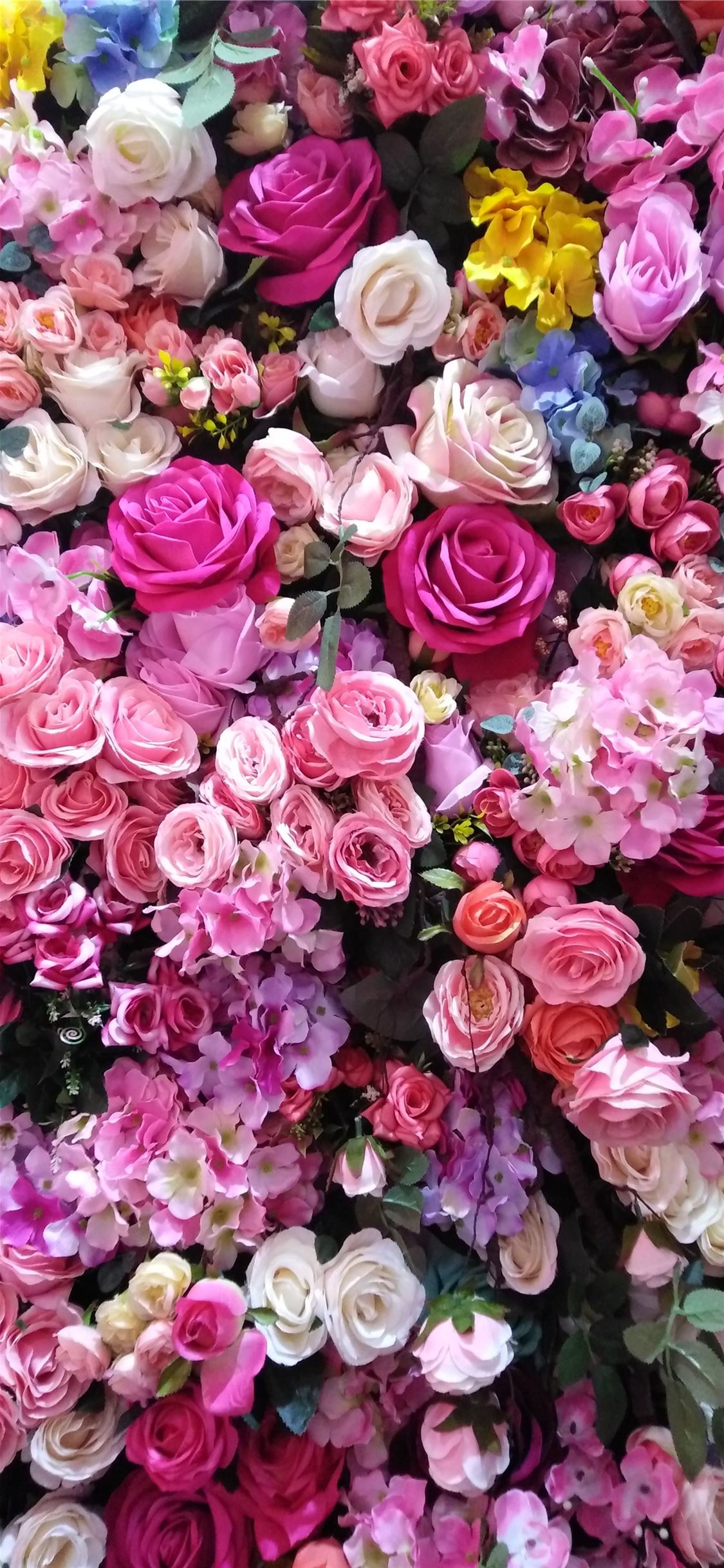 Best Flower iPhone X HD Wallpaper