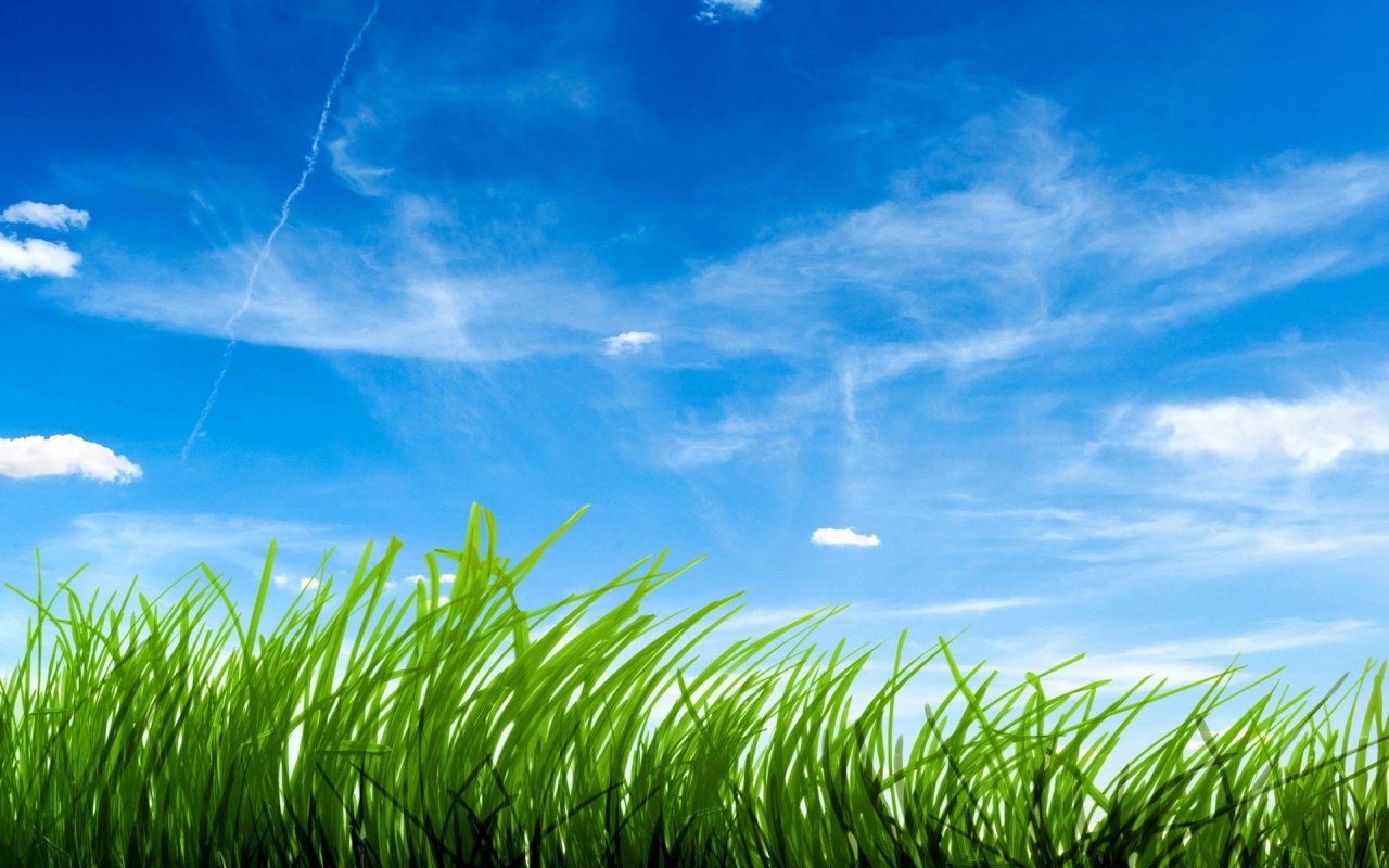 Grass and Sky Wallpaper