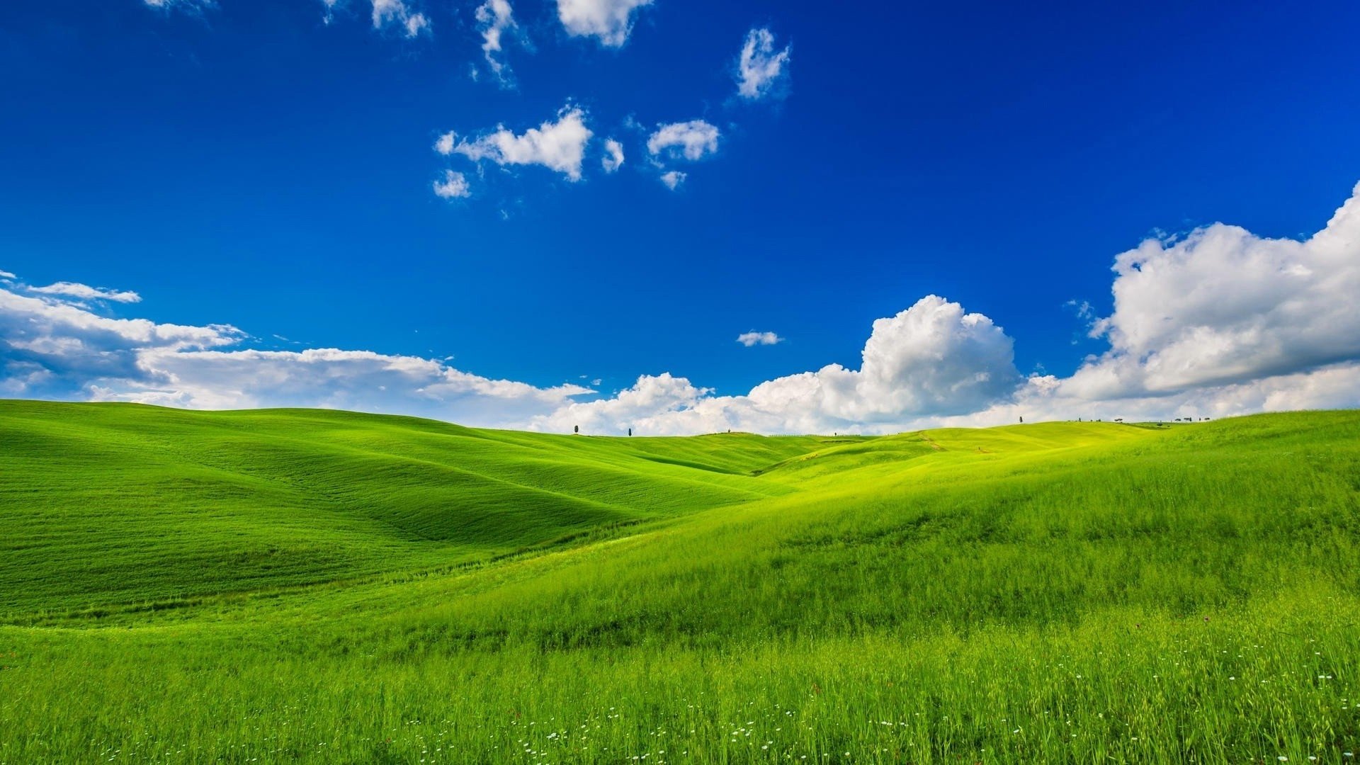 Grass And Sky Wallpapers - Wallpaper Cave
