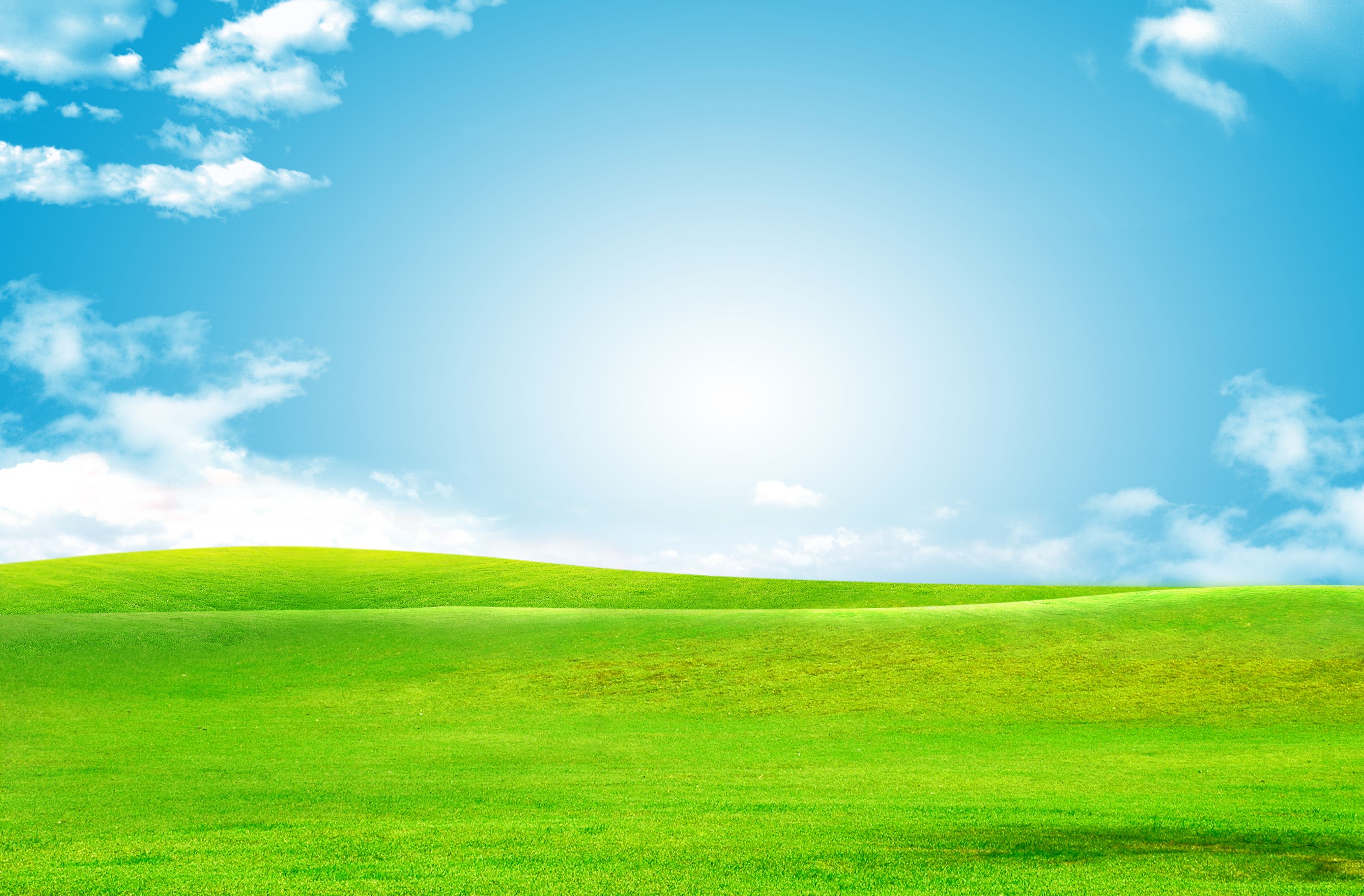 Sky Green Grass Background. Grass background, Photohop background backdrops, Green grass background