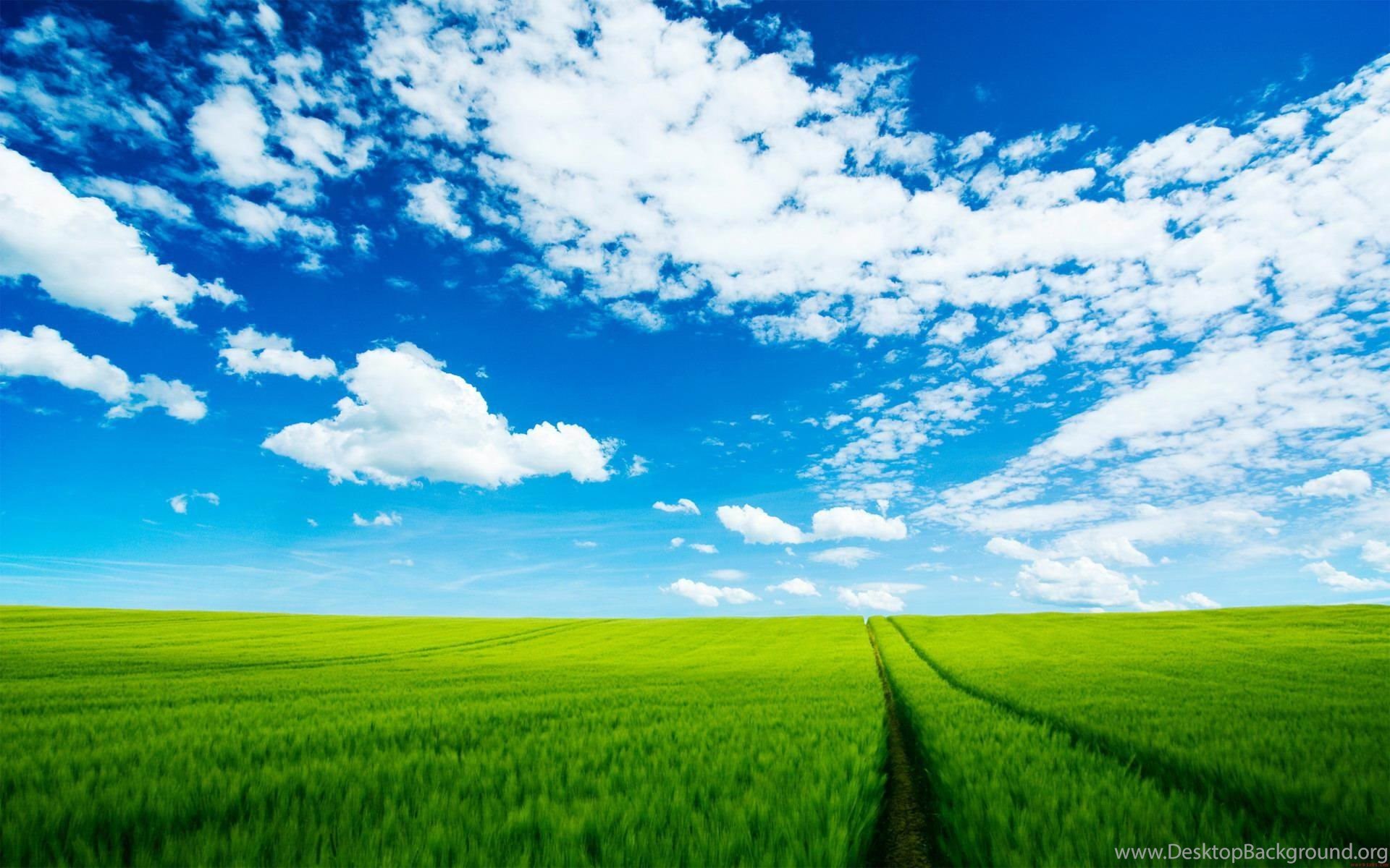 Download Sky Grass Wallpaper For Android Desktop Background