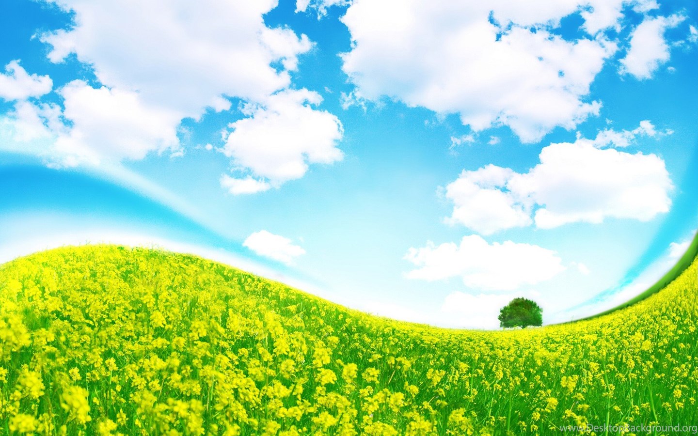 Grass And Sky Wallpaper 1080p Wallove Desktop Background