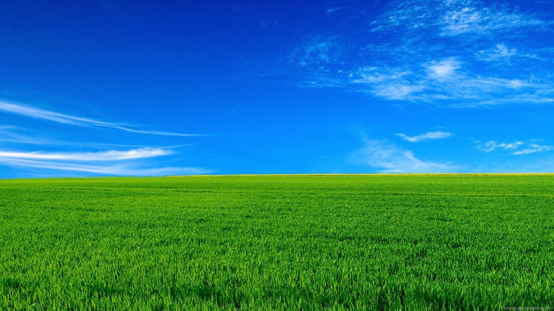 Blue Sky Green Grass Background HD