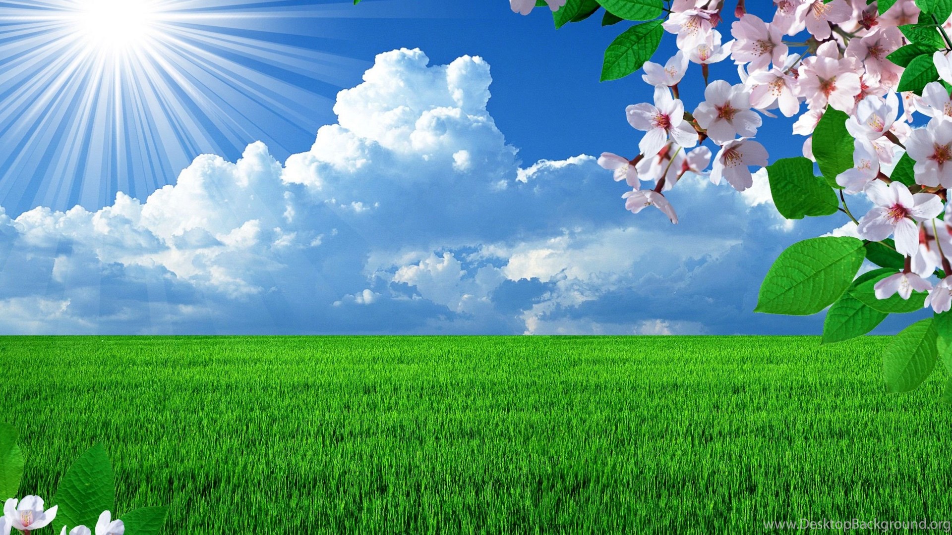 Download Sky Grass Wallpaper HD Resolution Desktop Background