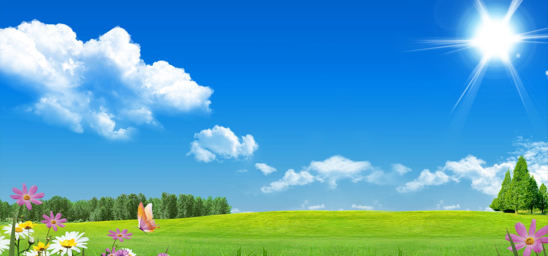 Blue Sky And Green Grass. Green grass background, Sky landscape, Beautiful landscape paintings