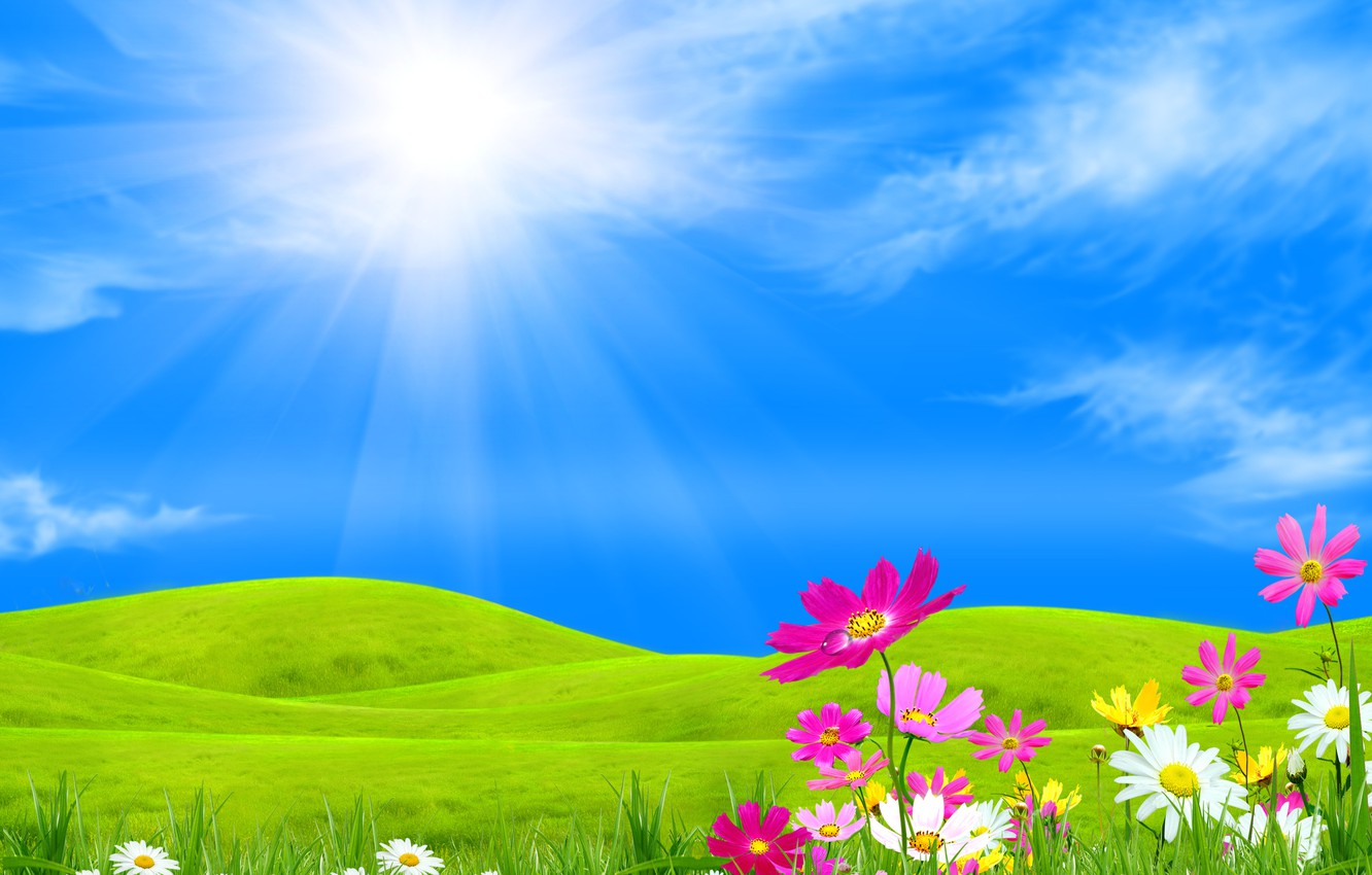 Wallpaper the sky, grass, the sun, clouds, rays, flowers, hills, collage, kosmeya image for desktop, section природа