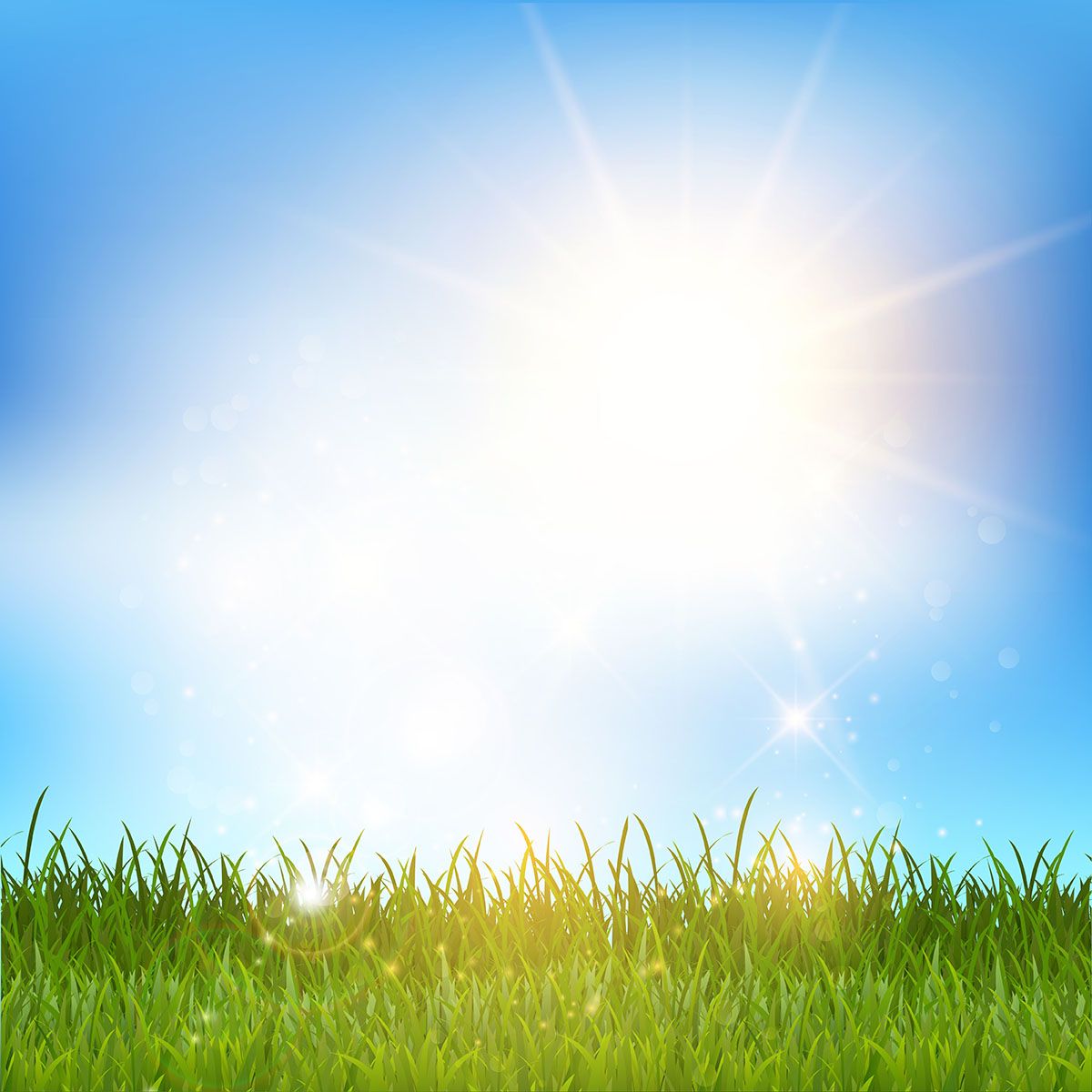 Blue sky and grass landscape. Background for photography, Free spring wallpaper, Grass landscape