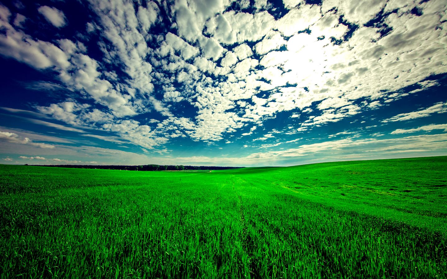 Download wallpaper 1440x900 field, sky, grass, clouds, green, summer widescreen 16:10 HD background