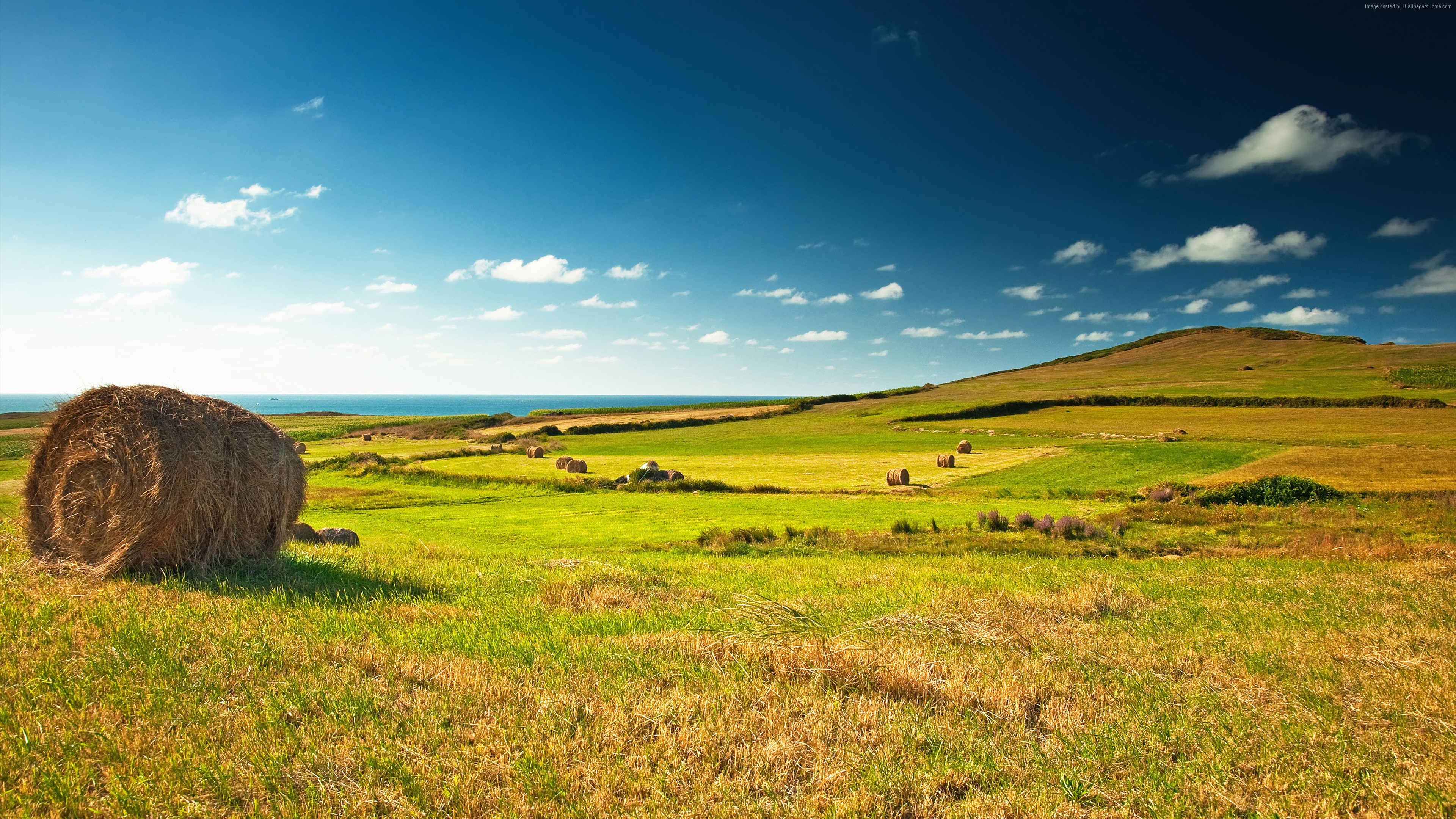 #sky, #grass, #hay, #clouds, #Meadows, k, k wallpaper. Mocah HD Wallpaper