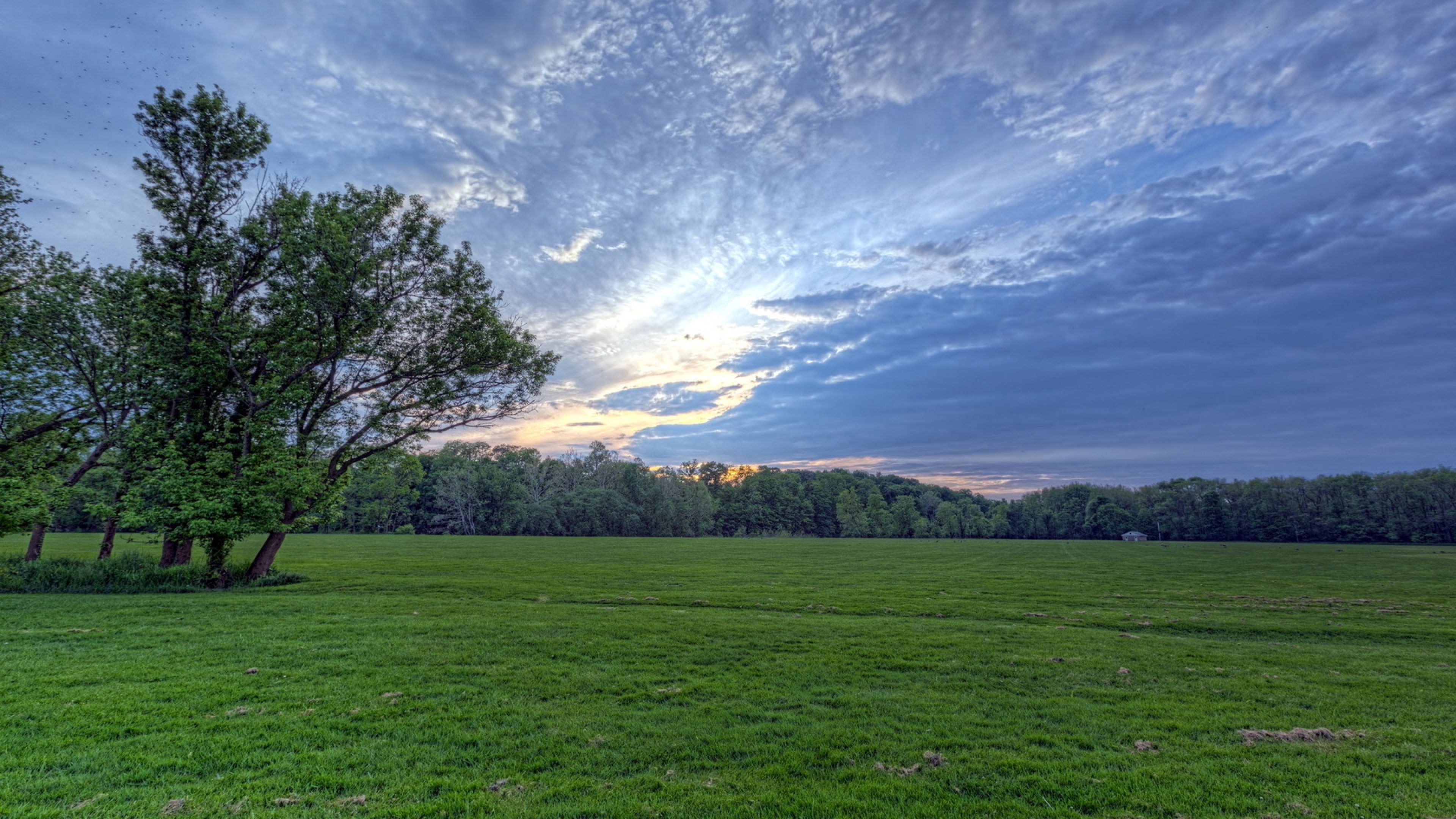 Blue Sky Evening Sky Grass Background