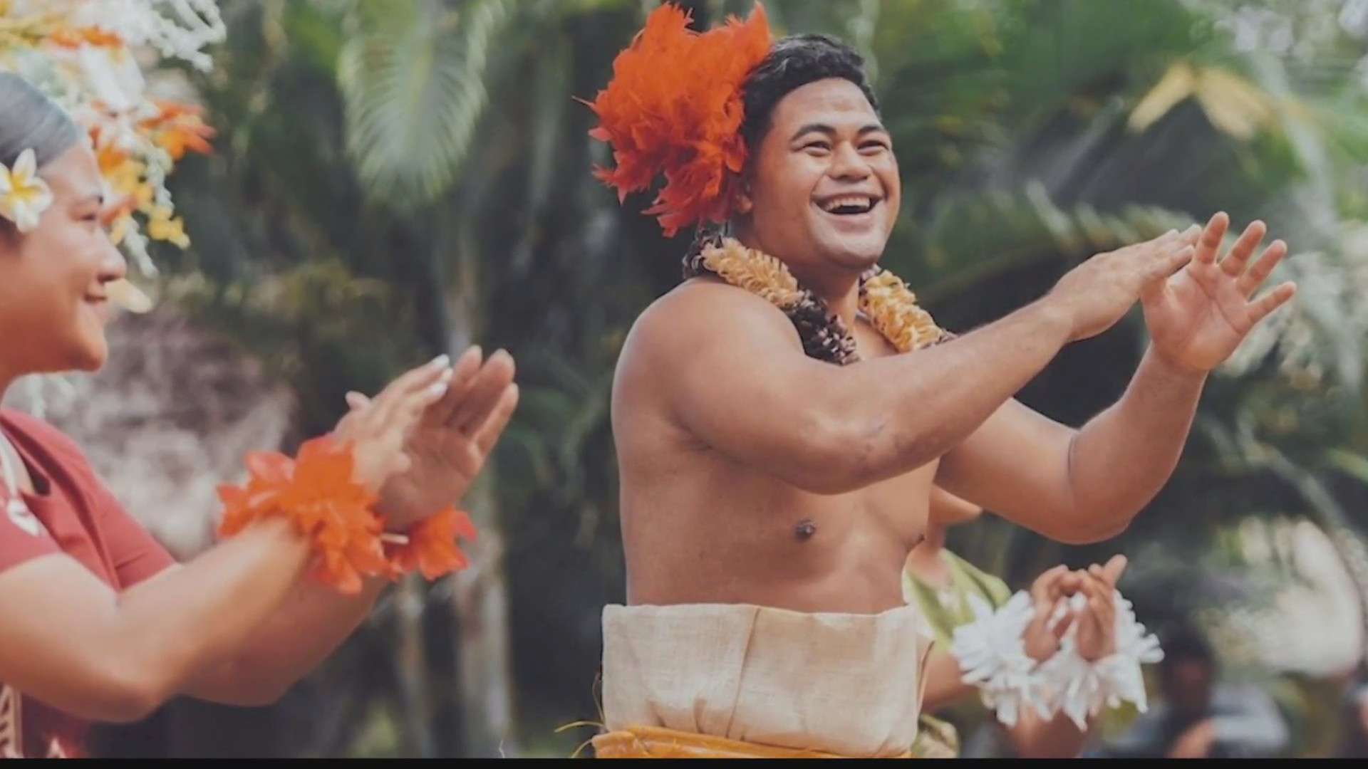 Lūʻau Wallpapers Wallpaper Cave