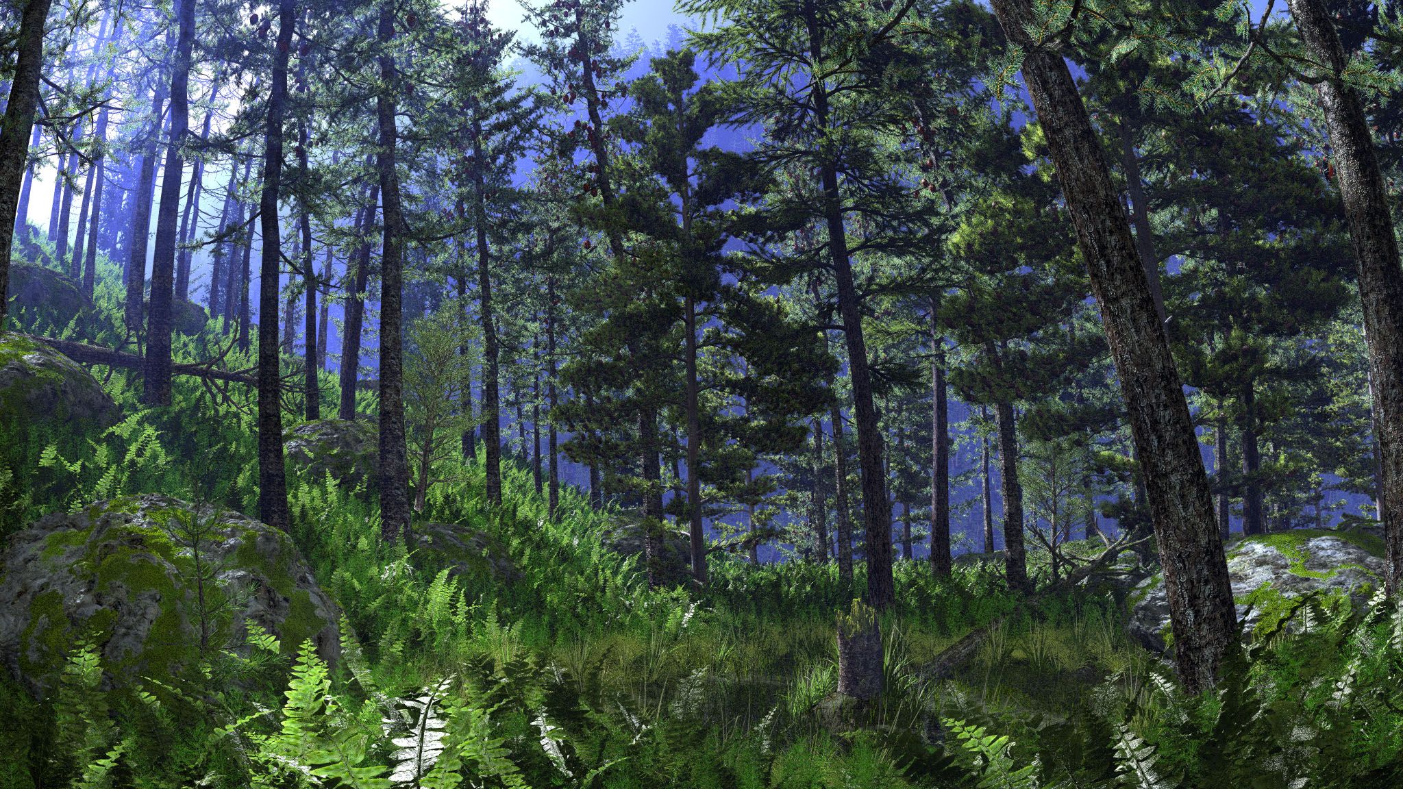 Boreal Forest Wallpapers Wallpaper Cave