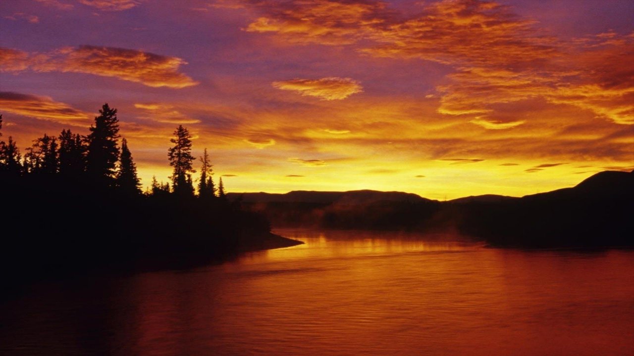 Boreal Forest Sunset HD Wallpaper