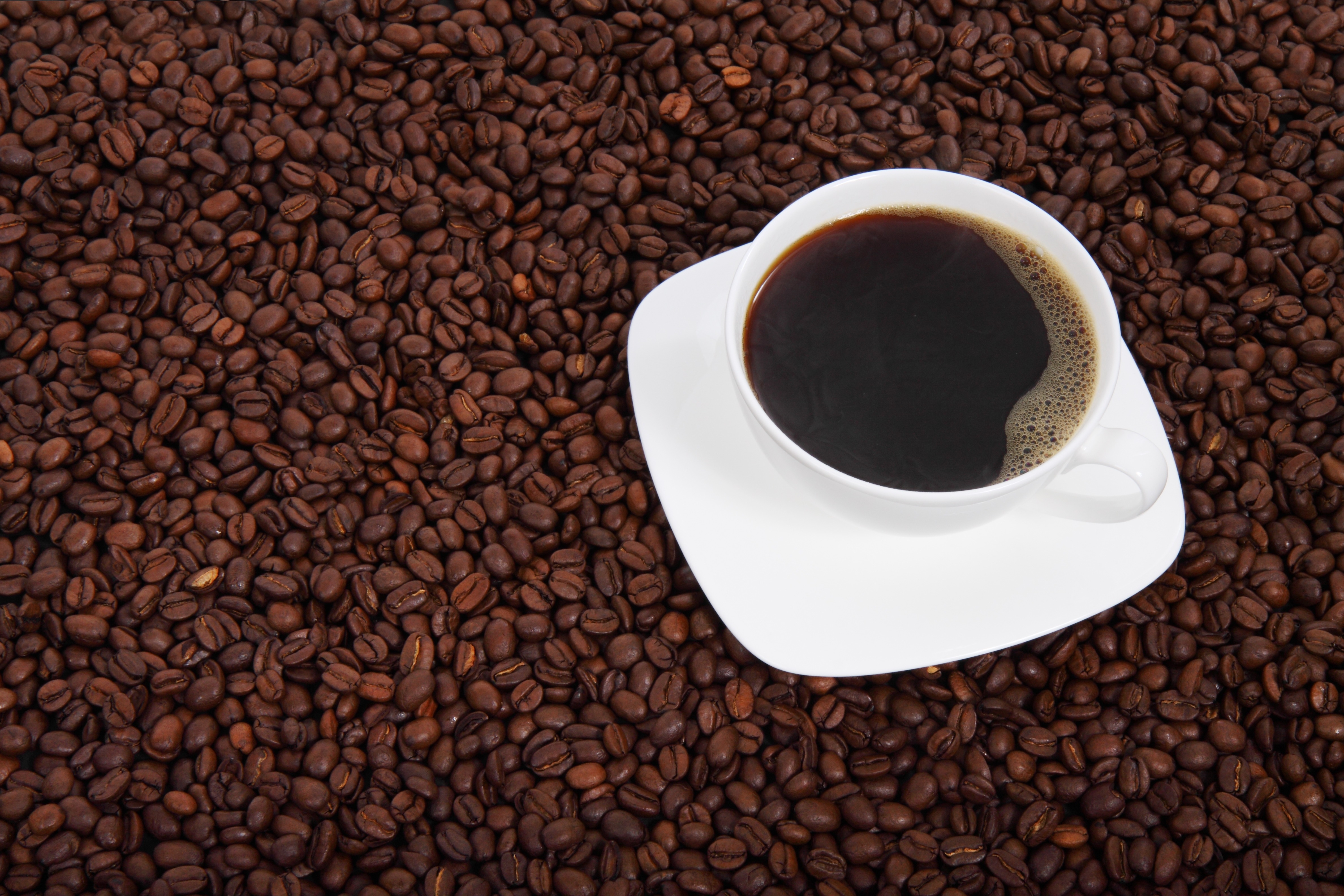 Coffee cup HD Wallpaper & Background