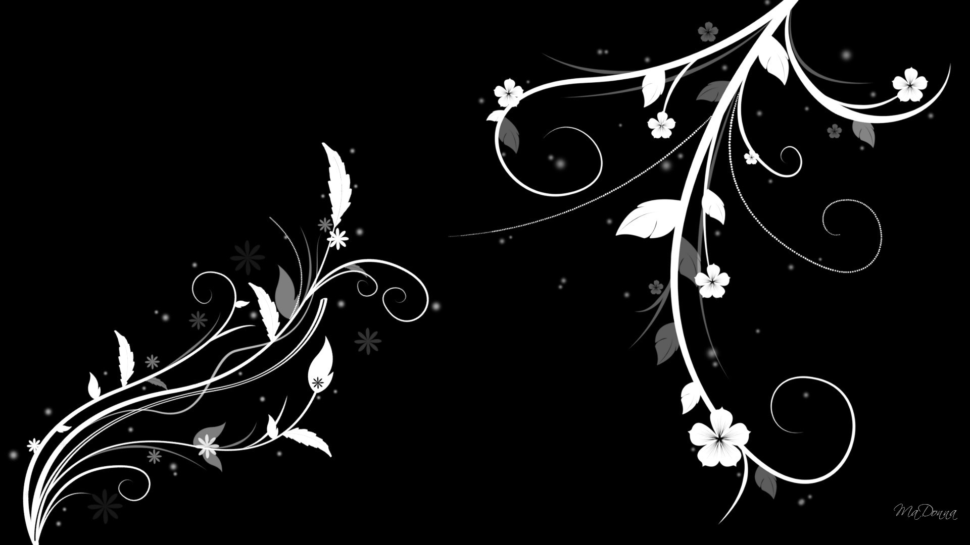 abstract black Black and White Floral Abstract