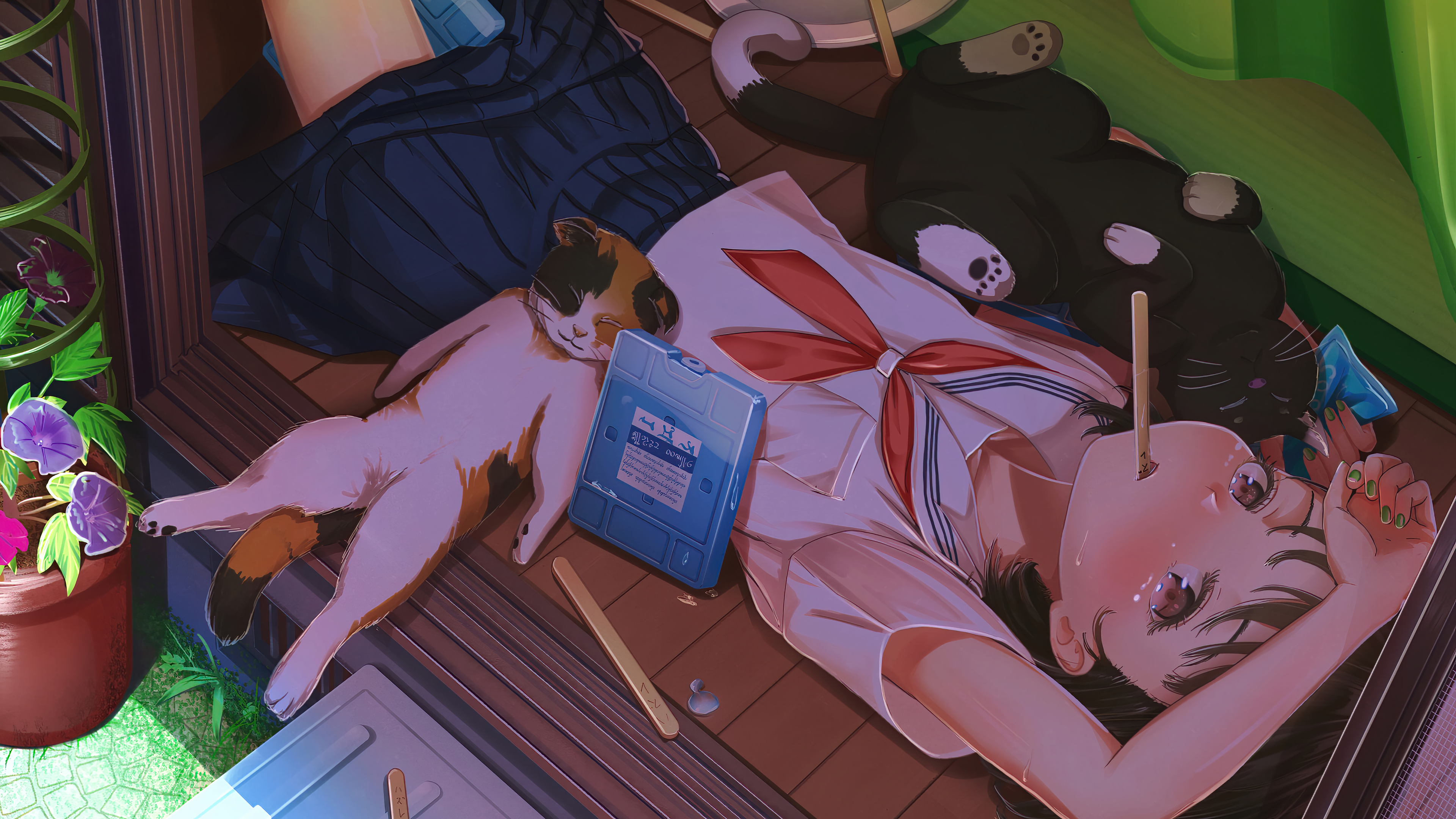 sleeping HD wallpaper, Background