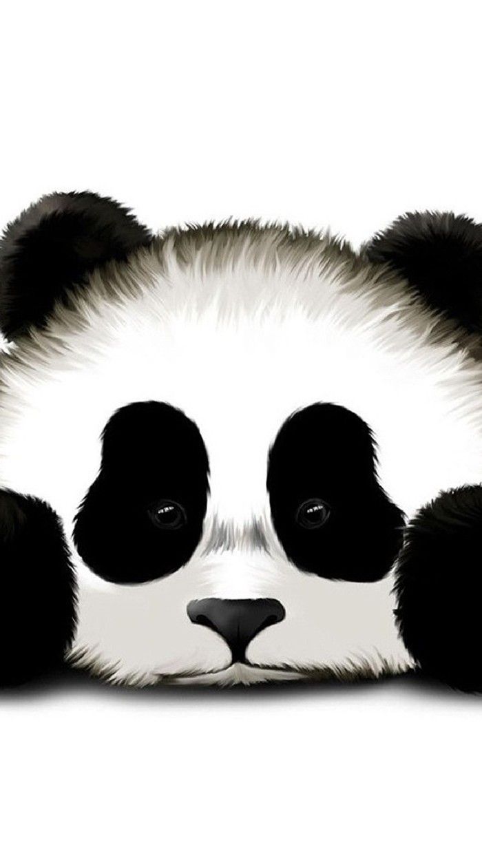 Sad Panda