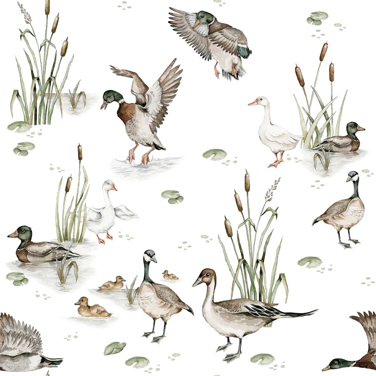 Ducks Lake Wallpaper / Return To Innocence.com Wallstickers And Wallpaper Online Store